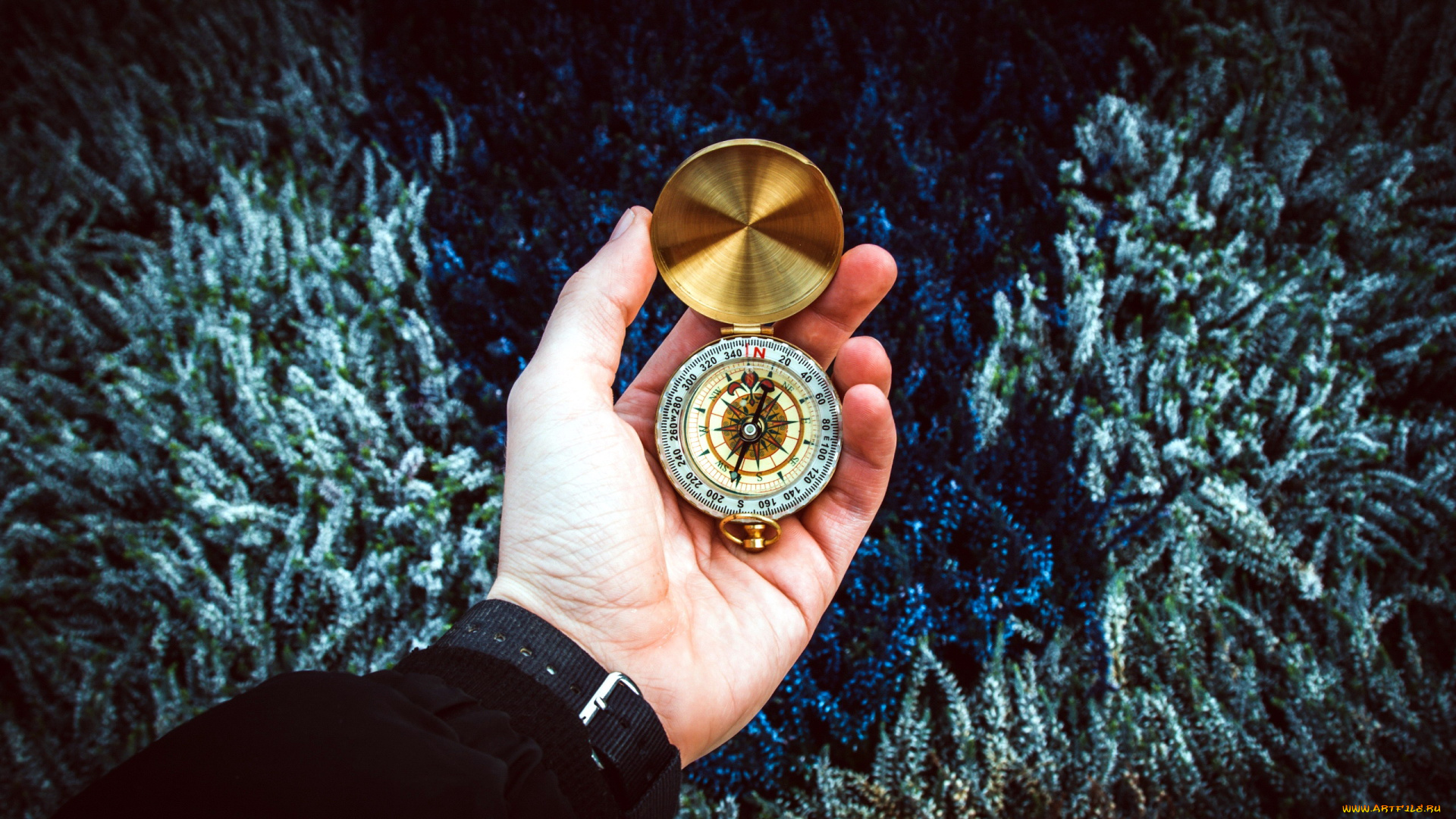 разное, руки, направление, компас, рука