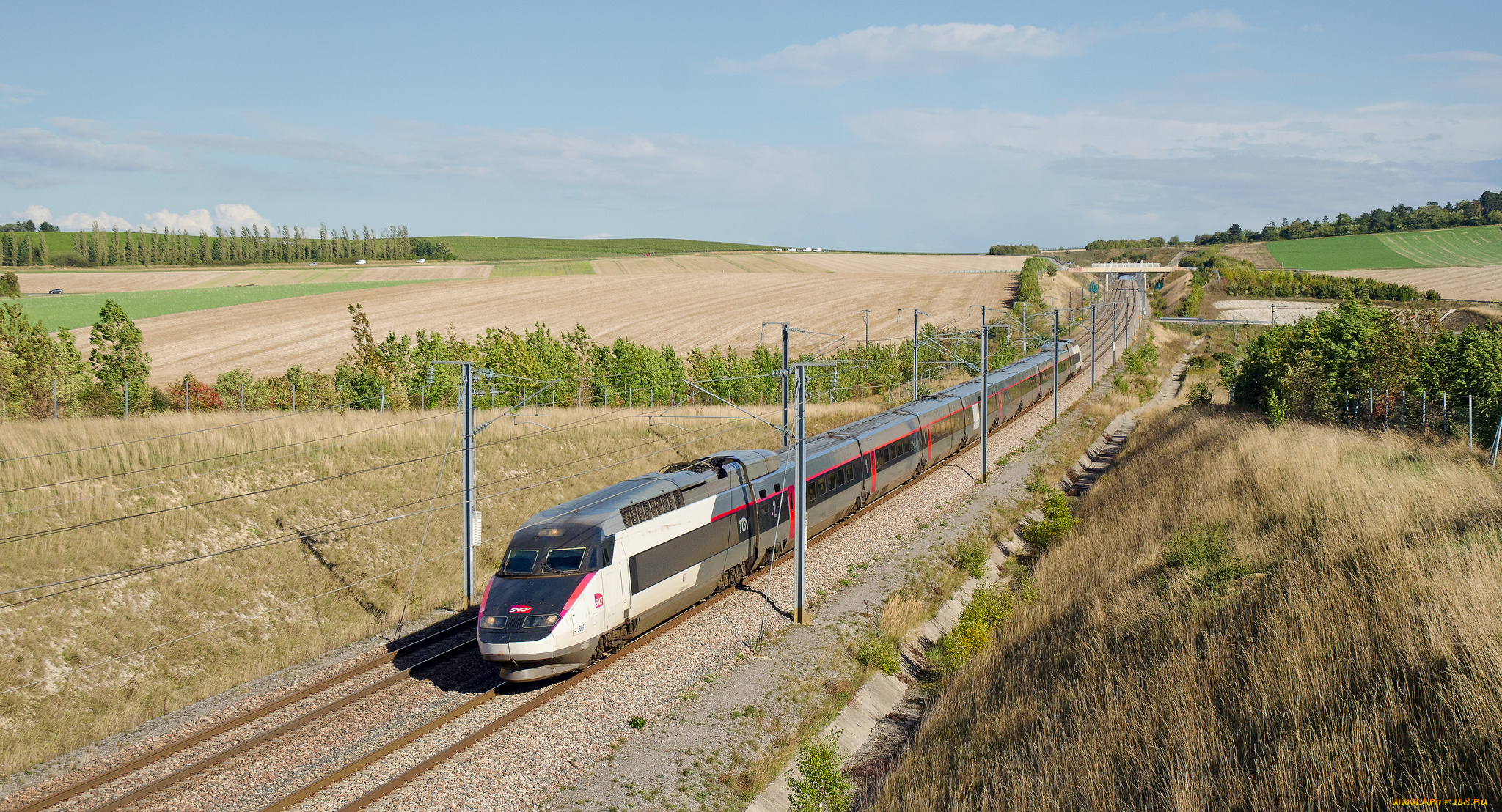 техника, поезда, состав, локомотив