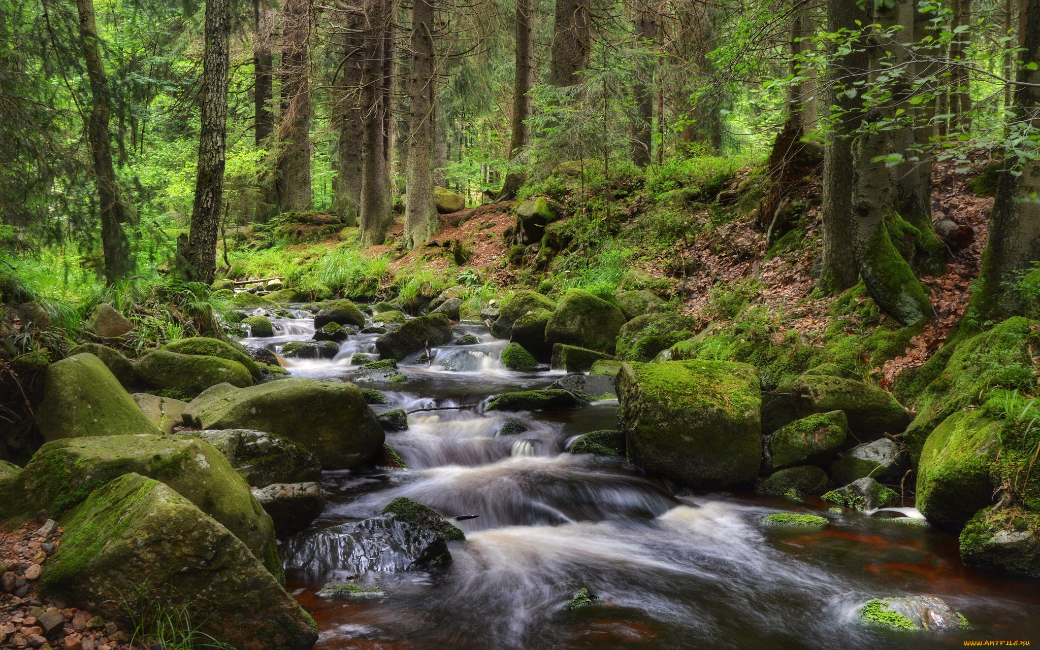 природа, реки, озера, простор