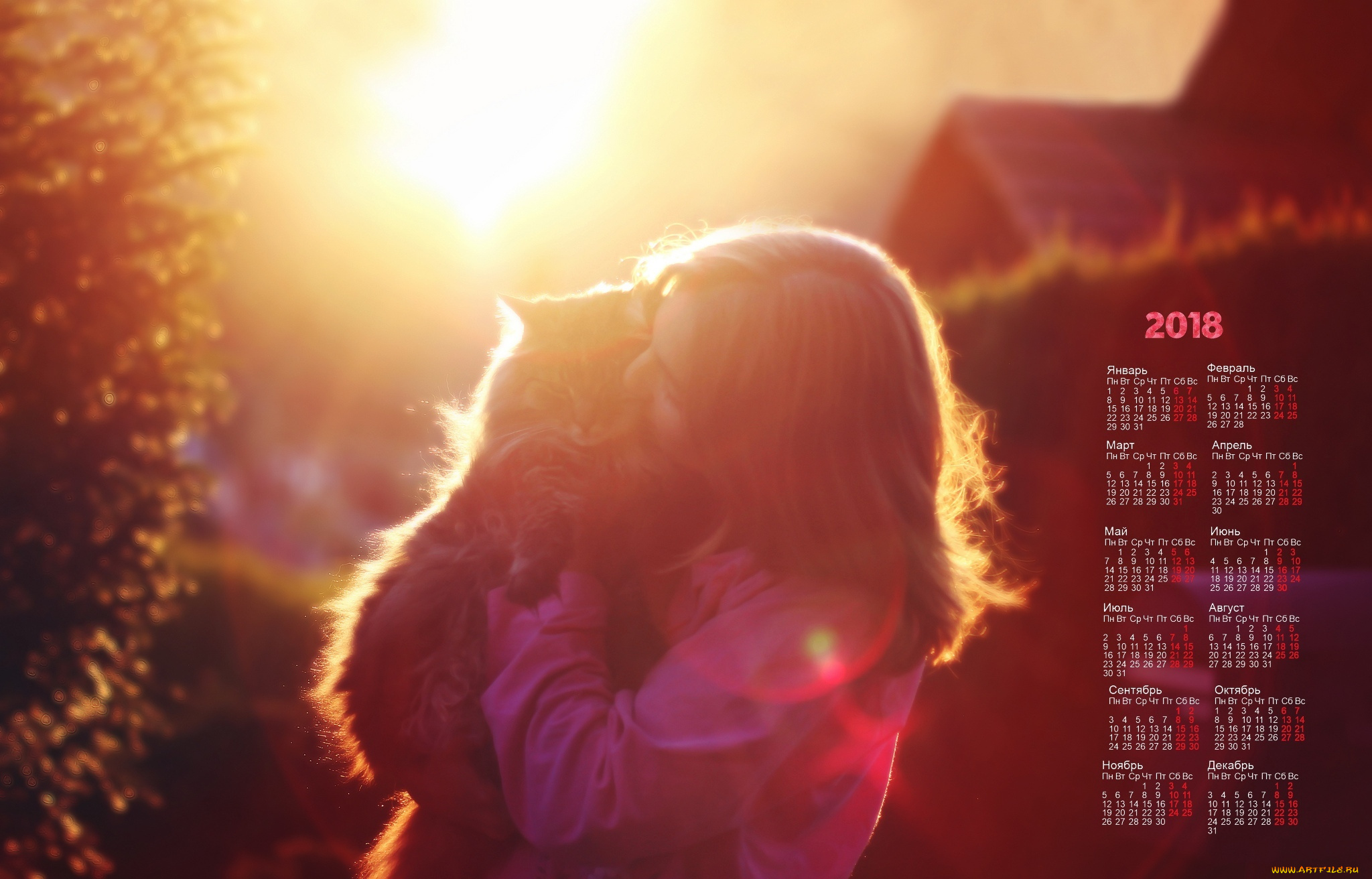 календари, девушки, кошка, 2018