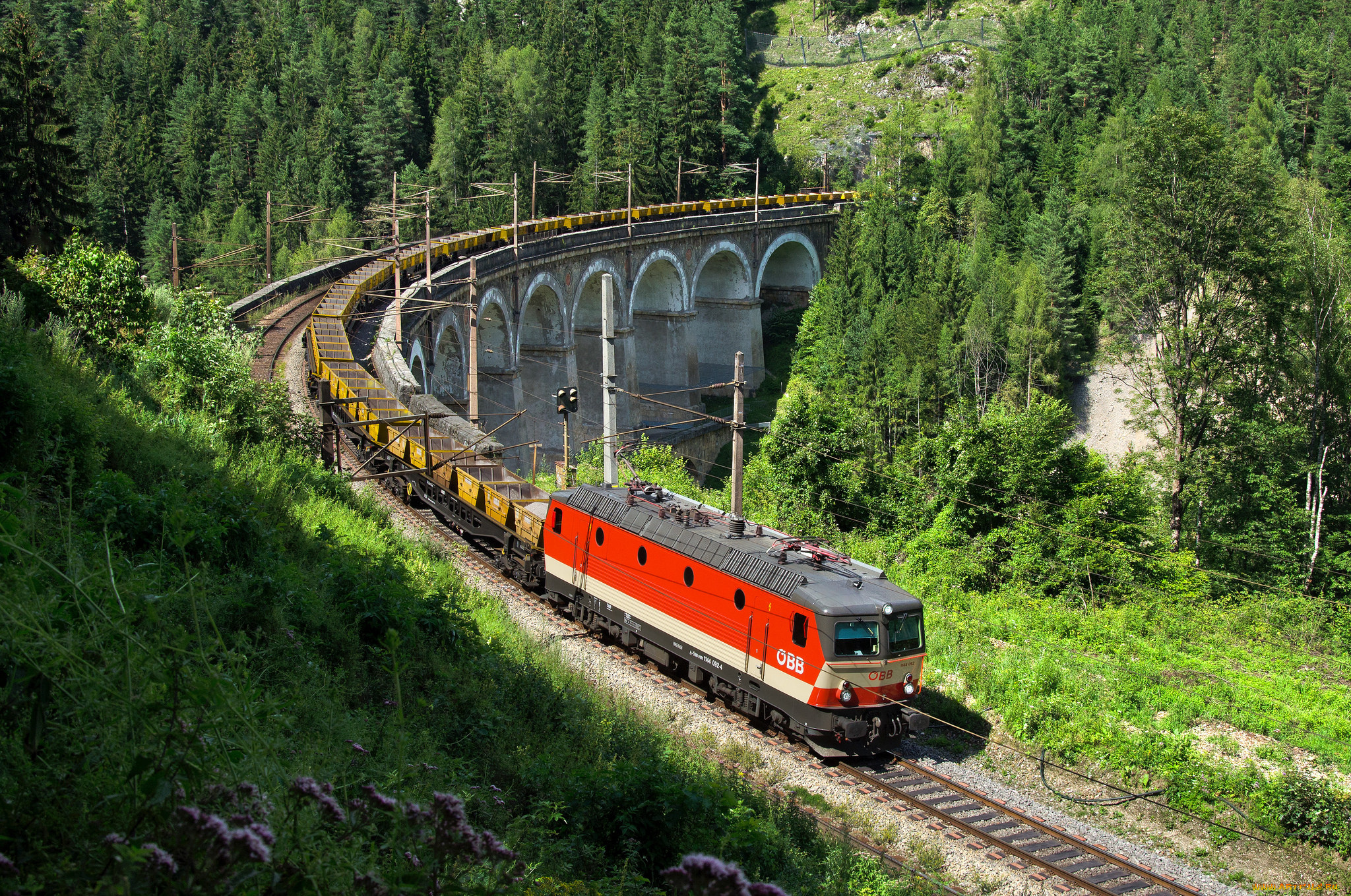 техника, поезда, локомотив, состав