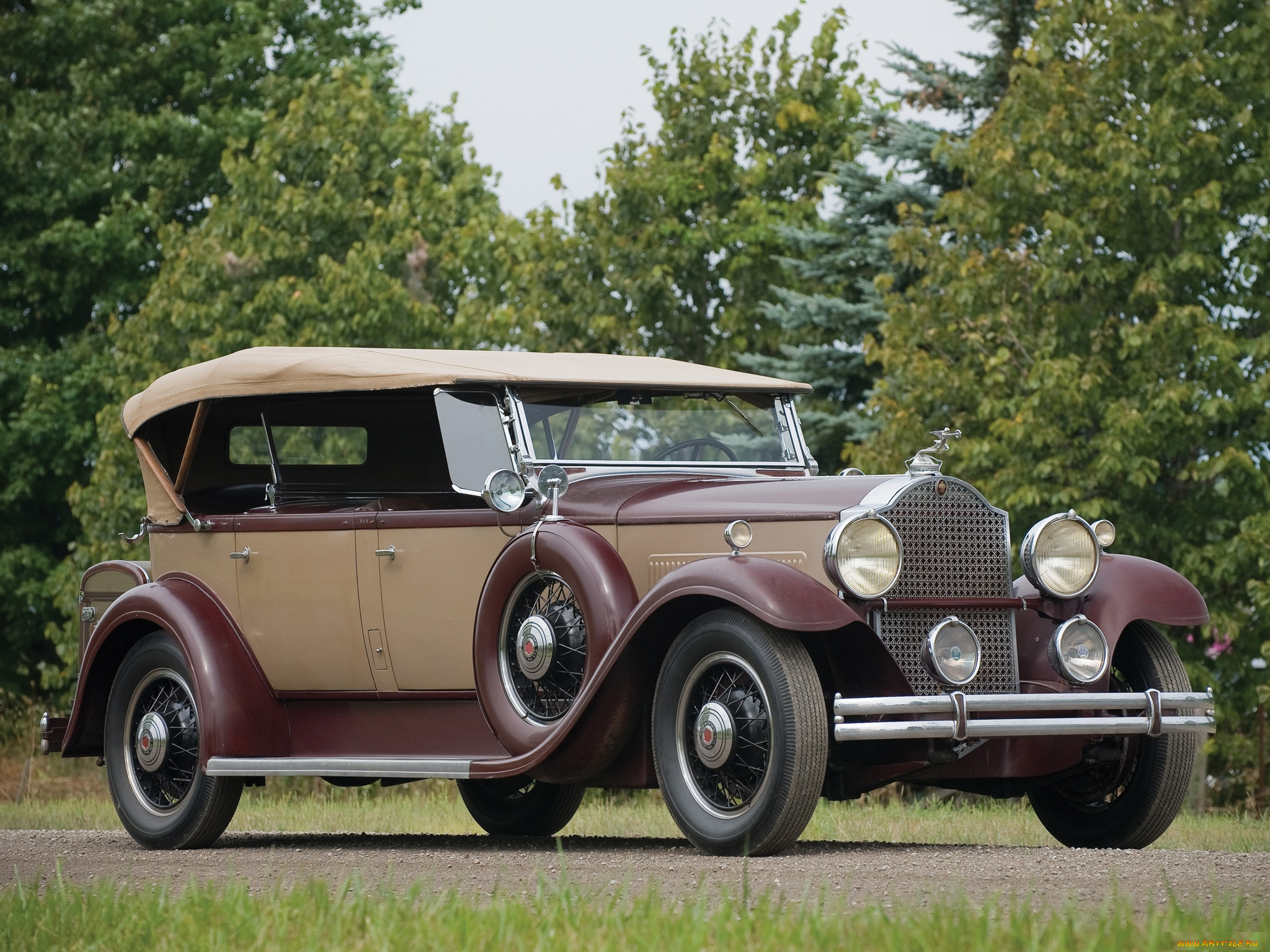 packard, eight, dual, cowl, sport, phaeton, 1931, автомобили, packard, авто