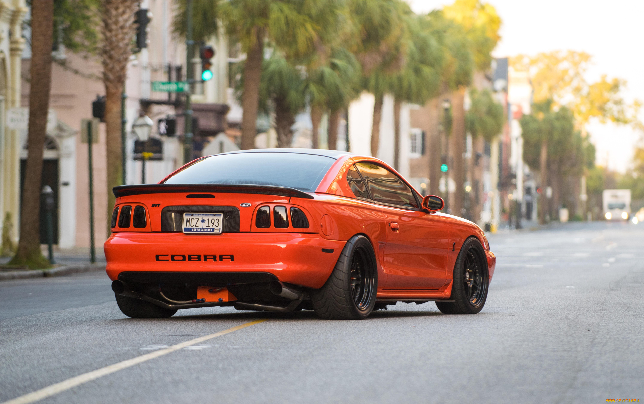 автомобили, mustang