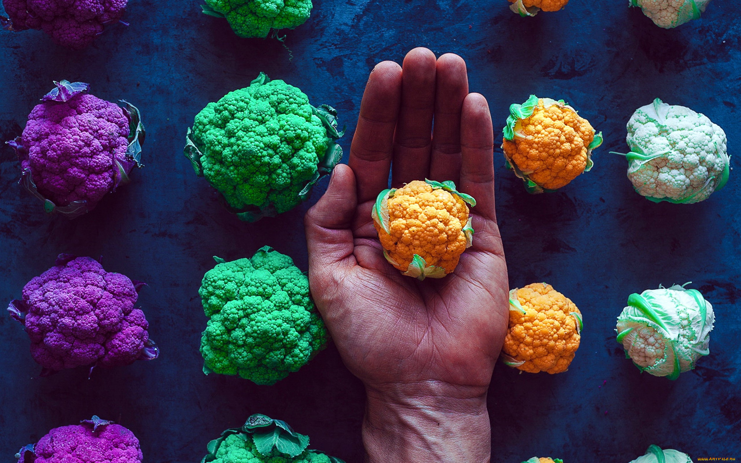 еда, капуста, и, её, разновидности, кочанчики, капуста, цветная