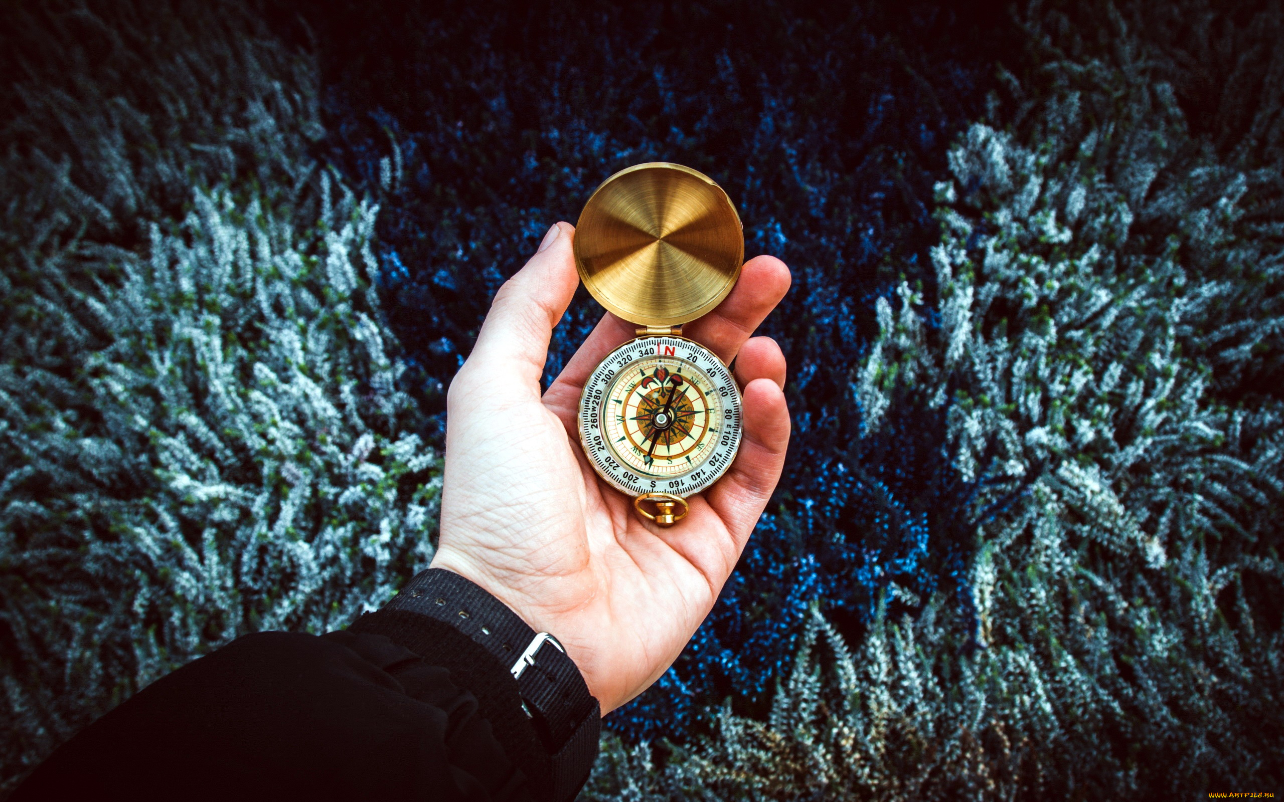 разное, руки, направление, компас, рука
