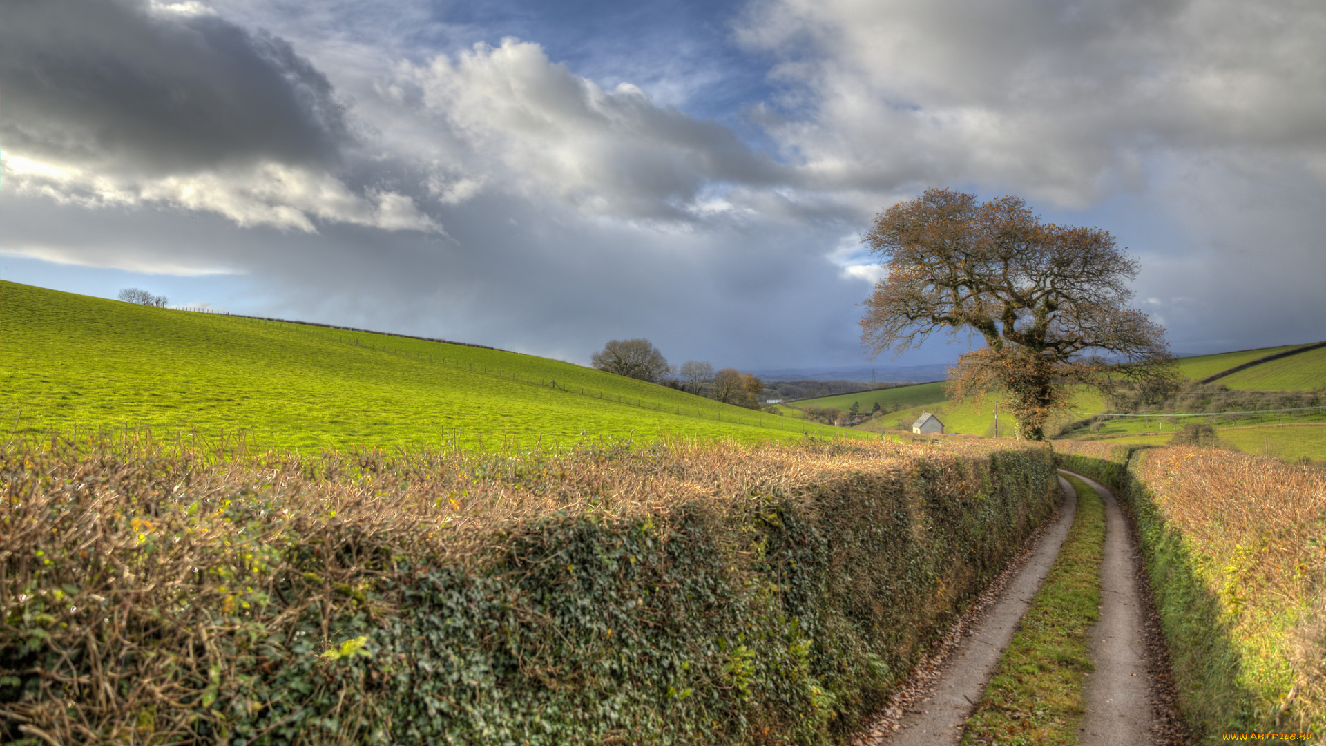 природа, дороги, простор