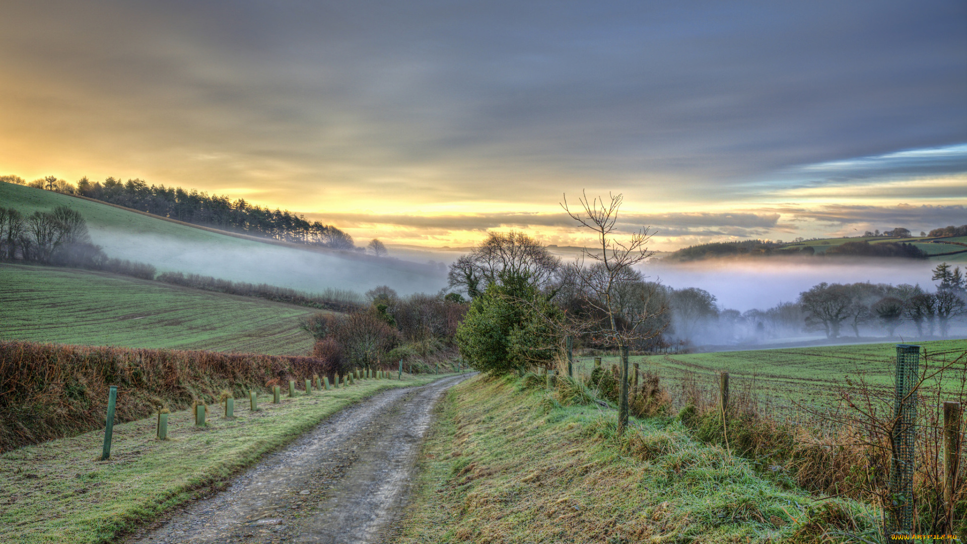 природа, дороги, простор