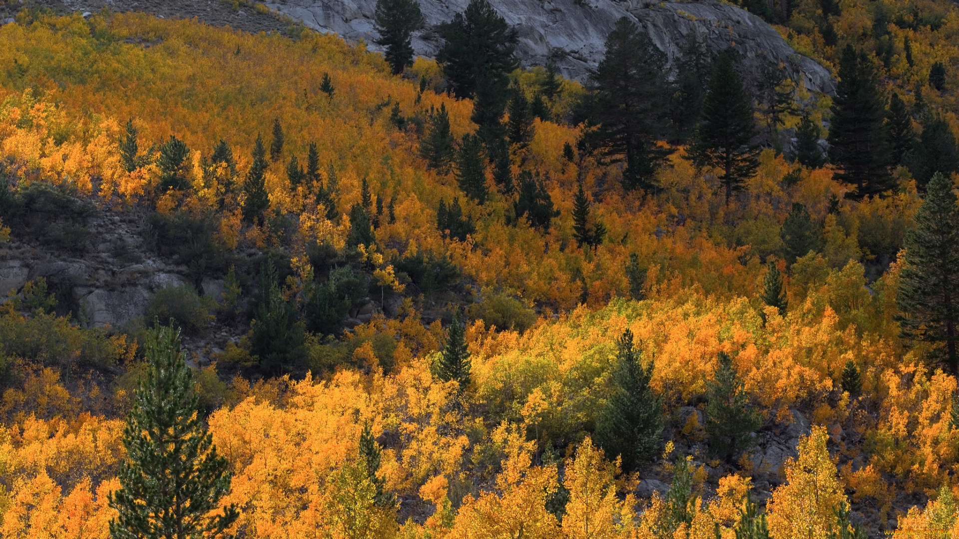 природа, пейзажи, простор