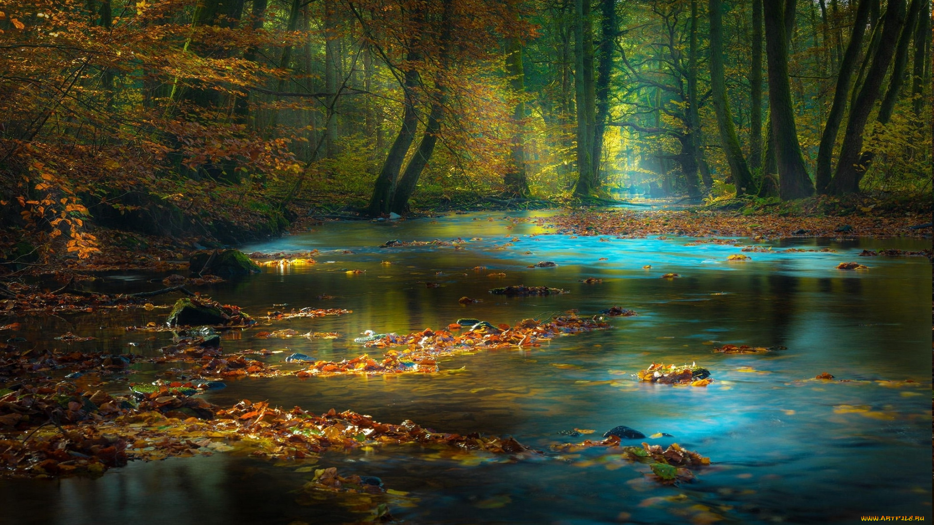 природа, реки, озера, лес, ручей, дымка