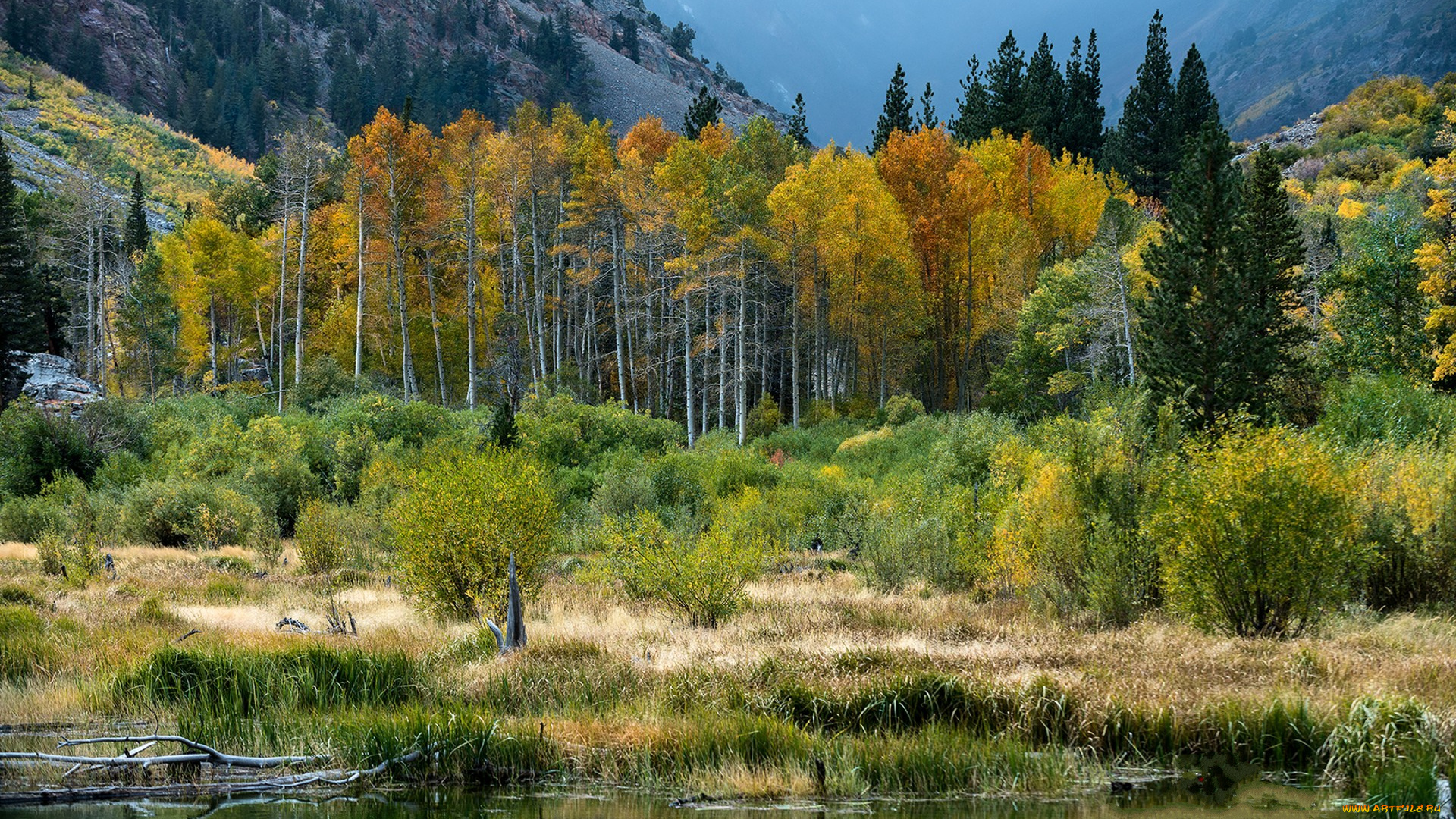 природа, реки, озера, простор