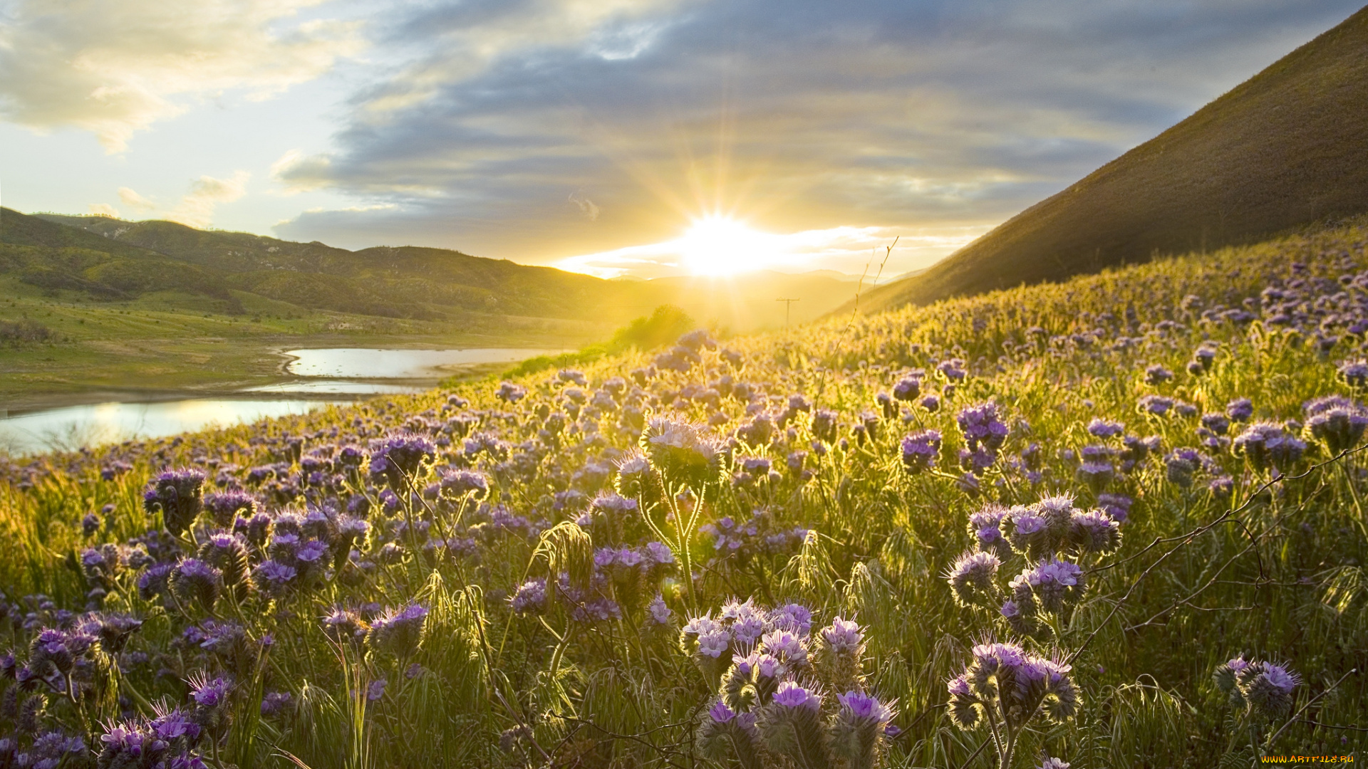 природа, восходы, закаты, простор