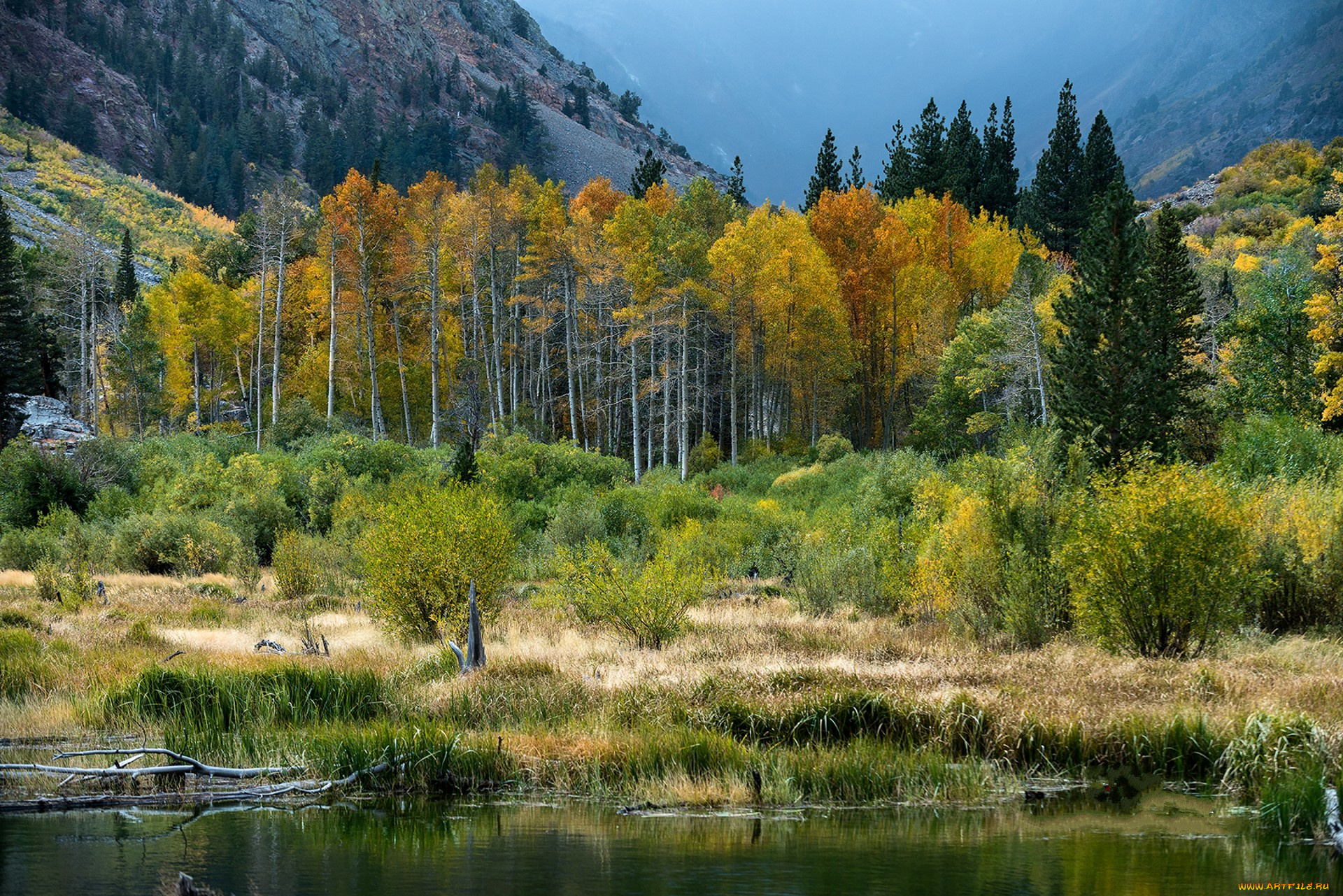 природа, реки, озера, простор