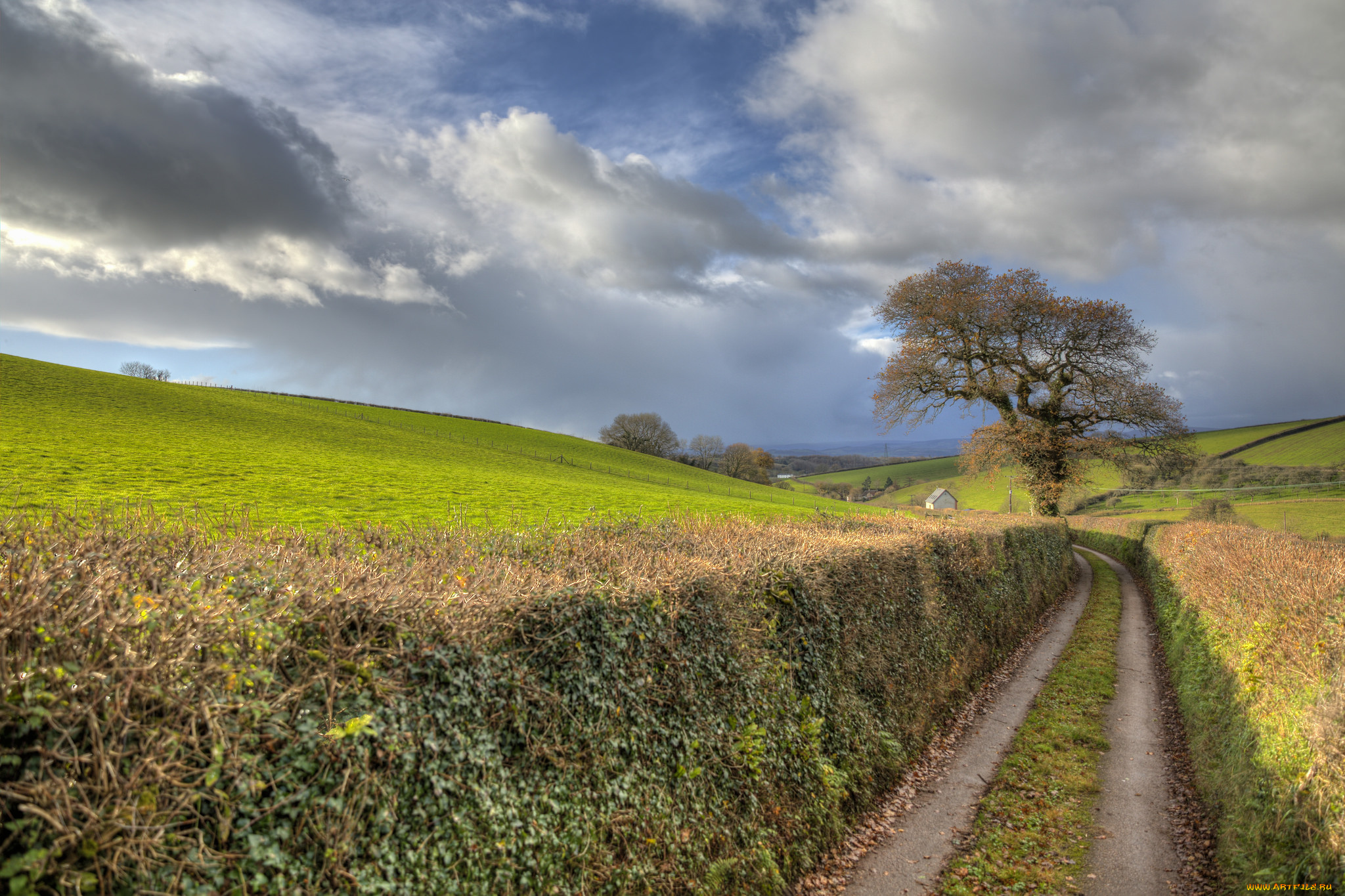 природа, дороги, простор