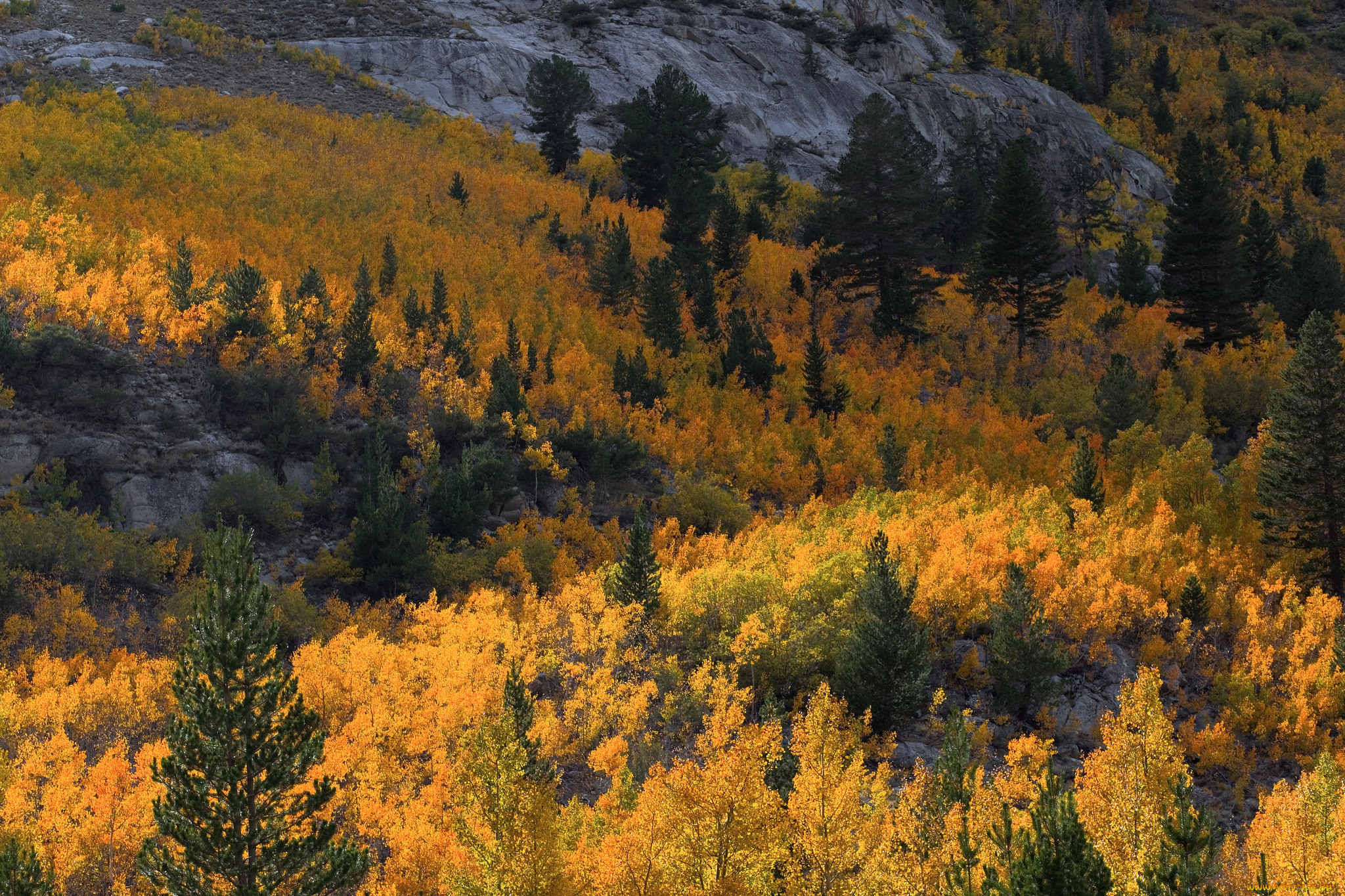 природа, пейзажи, простор