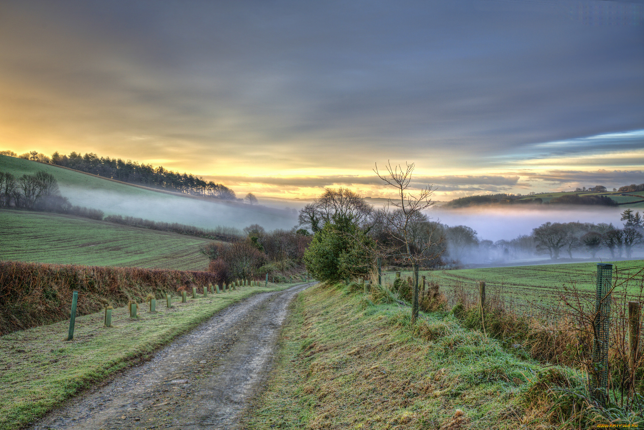 природа, дороги, простор