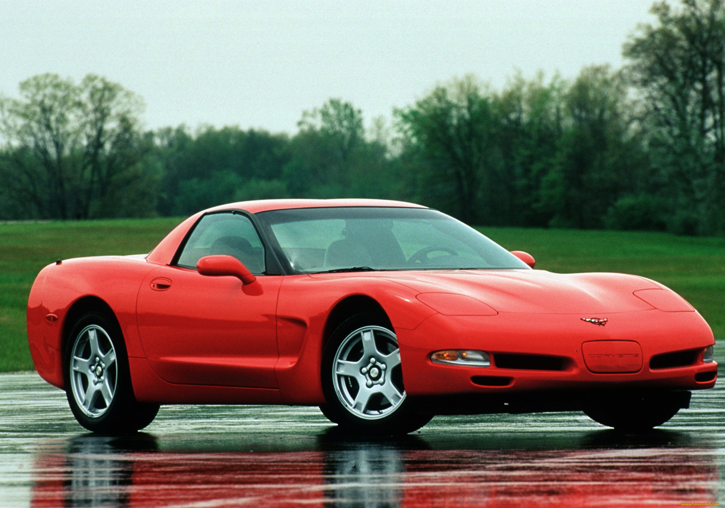 автомобили, corvette, vette