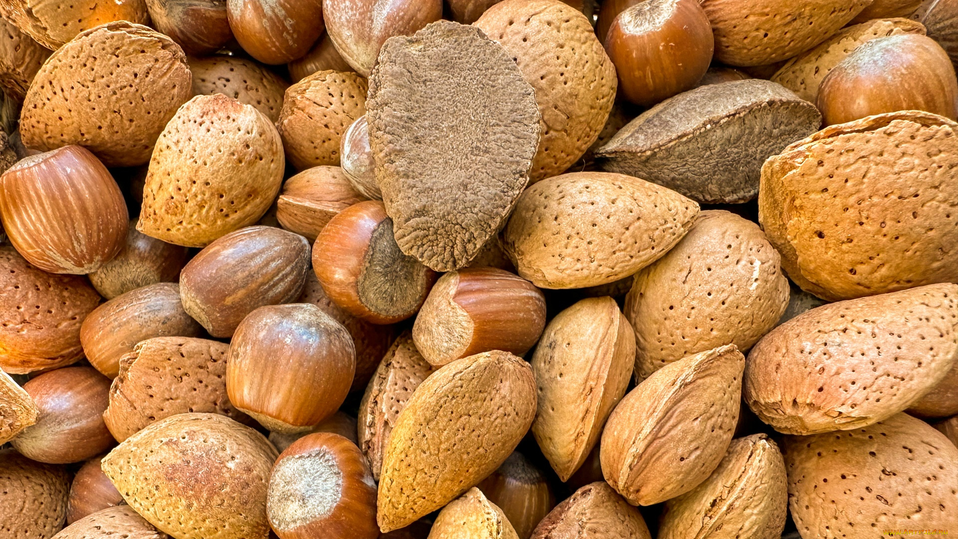 еда, орехи, , каштаны, , какао-бобы, миндаль, фундук, ассорти