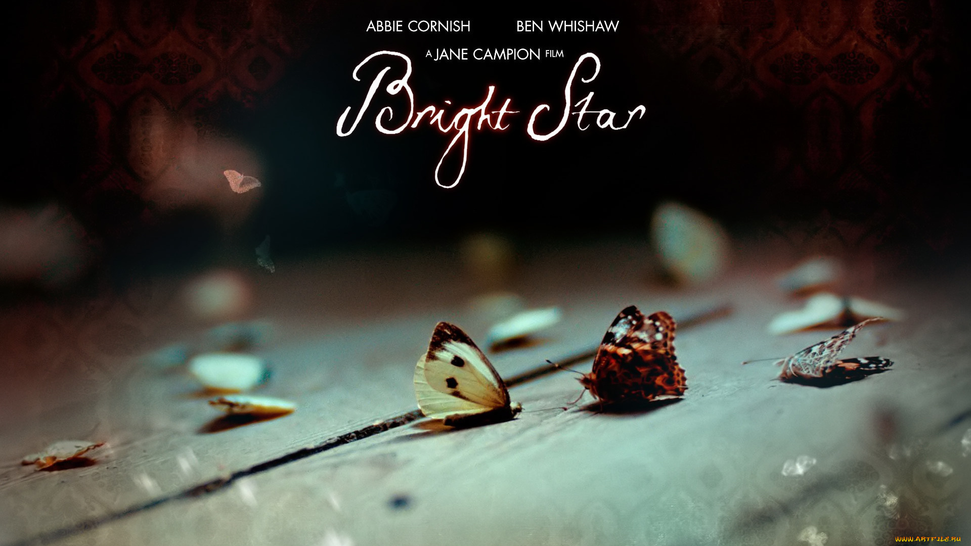 кино, фильмы, bright, star, бабочки, мертвые