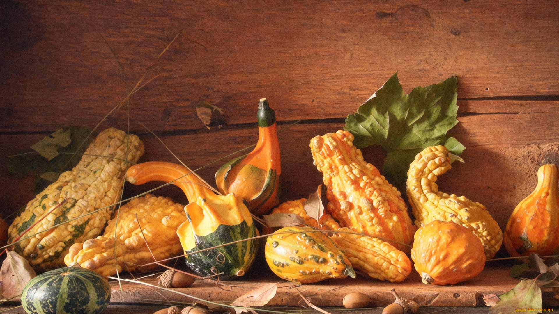 еда, натюрморт, кабачки