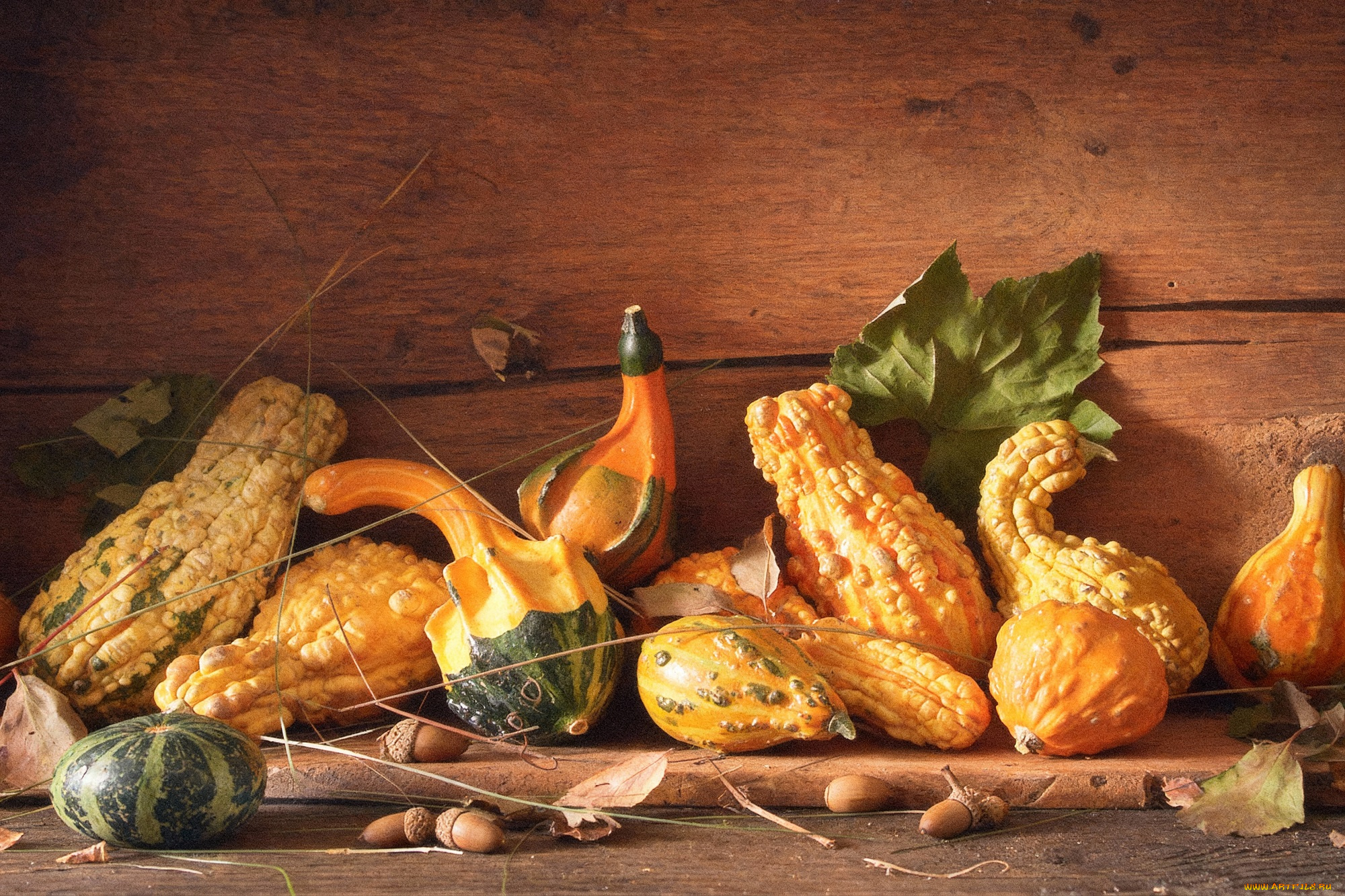 еда, натюрморт, кабачки