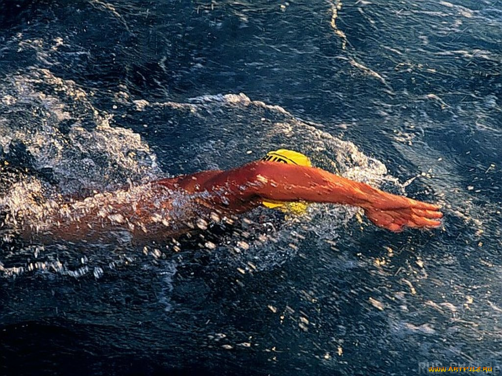 спорт, плавание