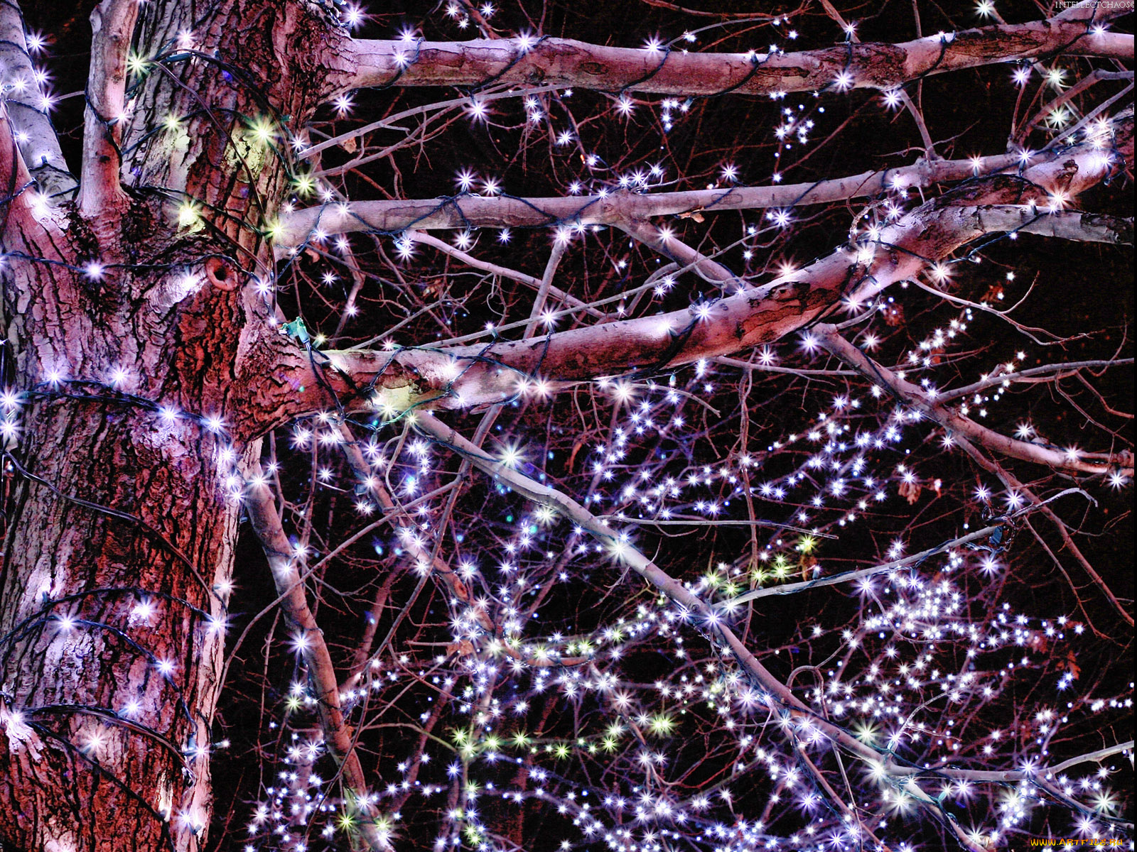 праздничные, новогодние, пейзажи