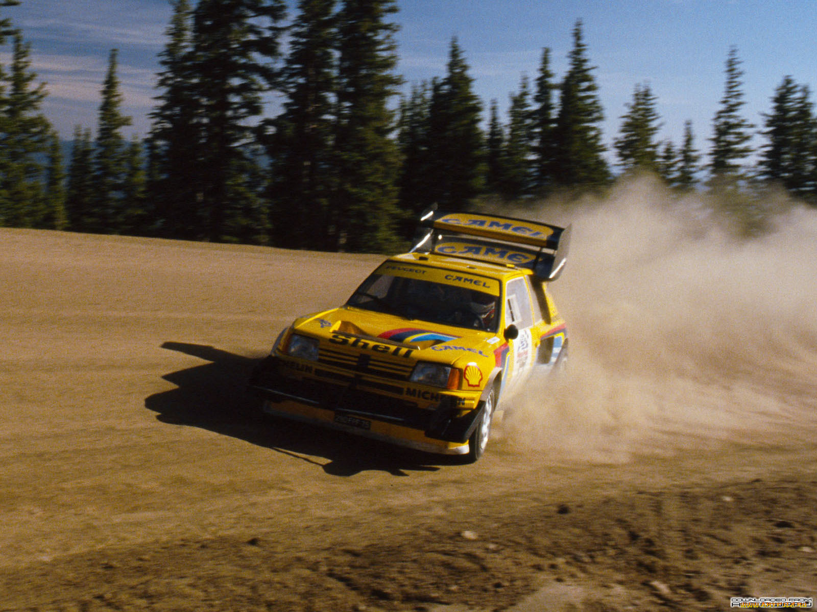 спорт, авторалли