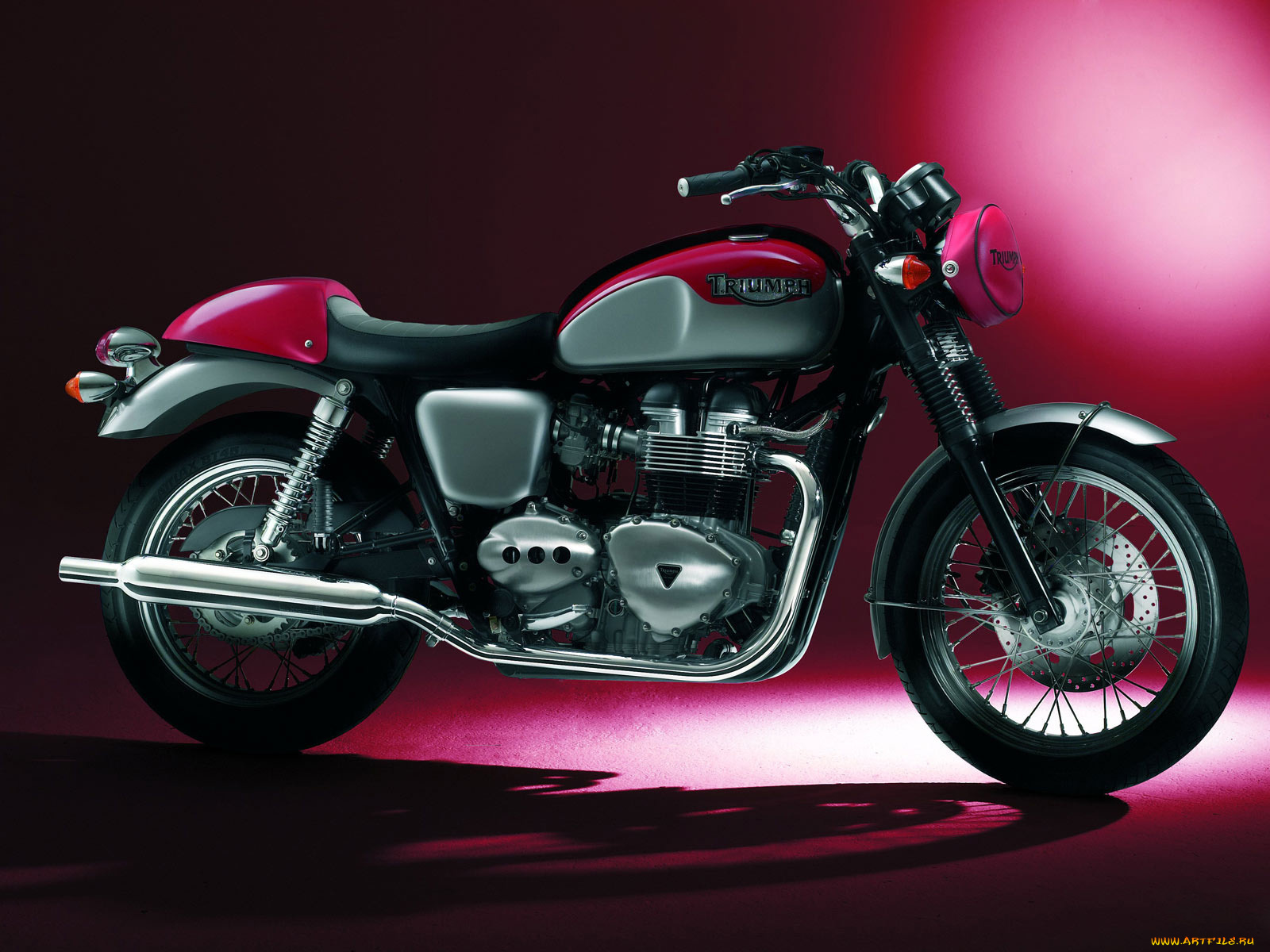 triumph, bonneville, 2008, мотоциклы