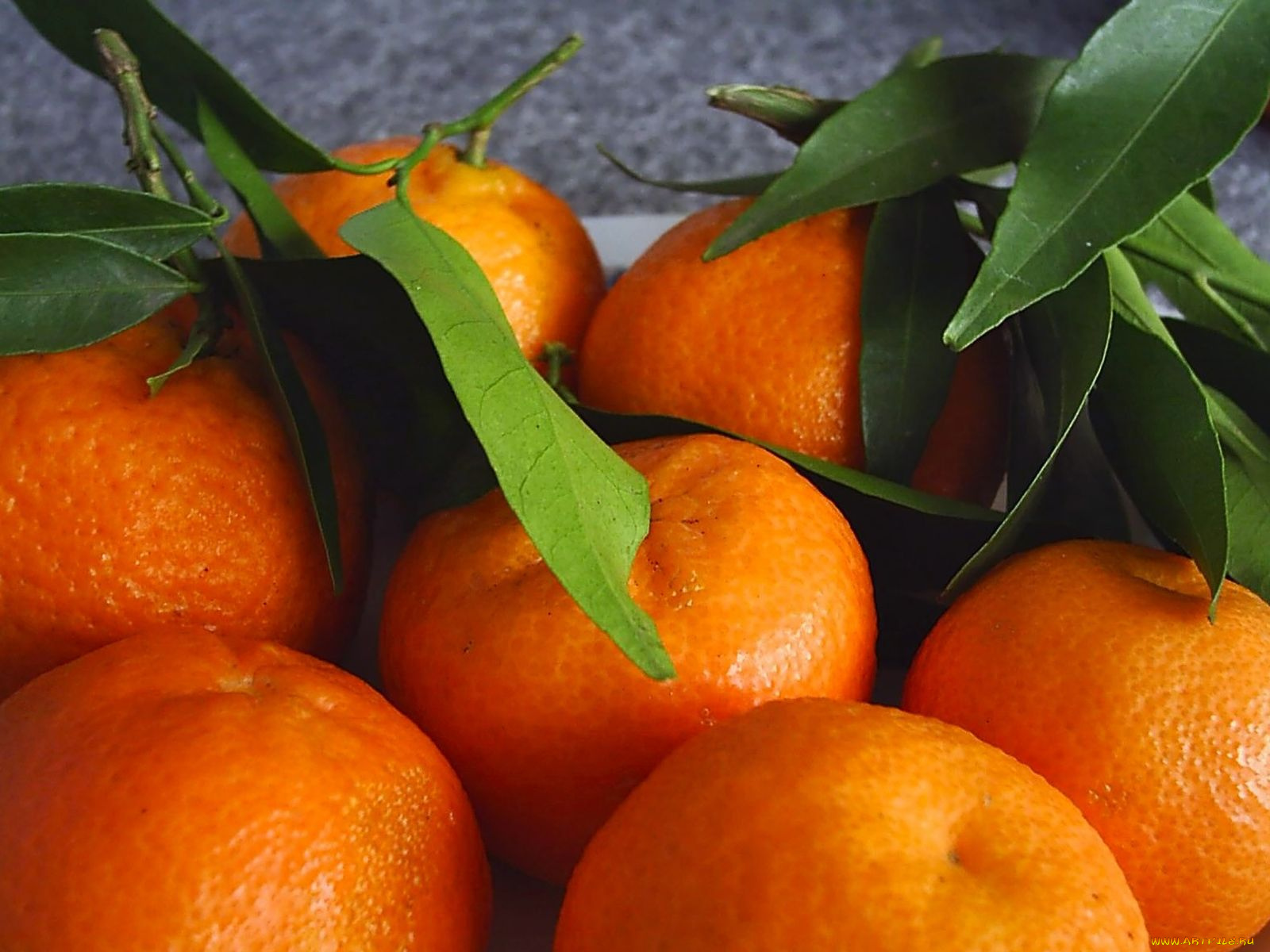 еда, цитрусы