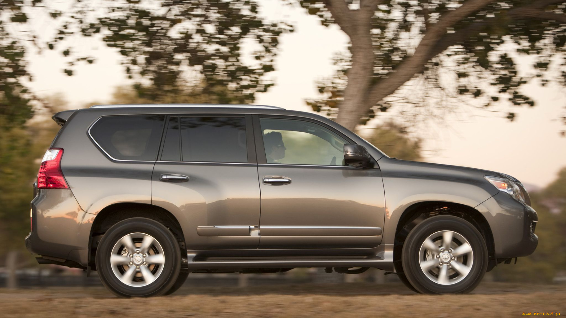 автомобили, lexus