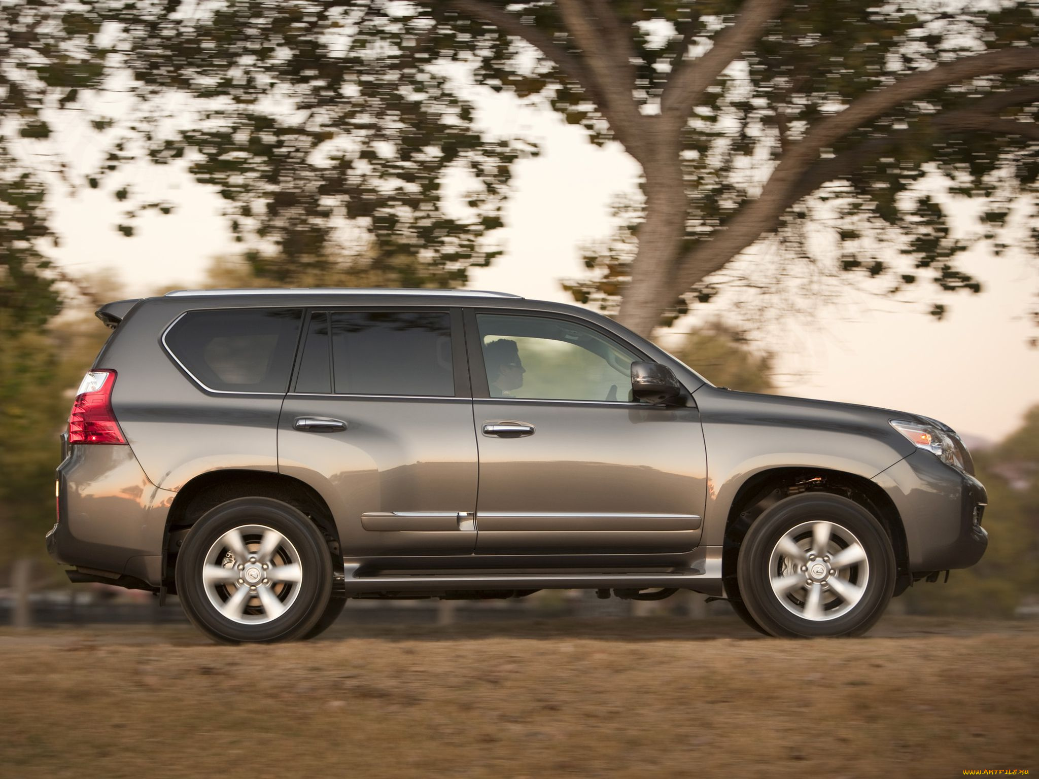 автомобили, lexus