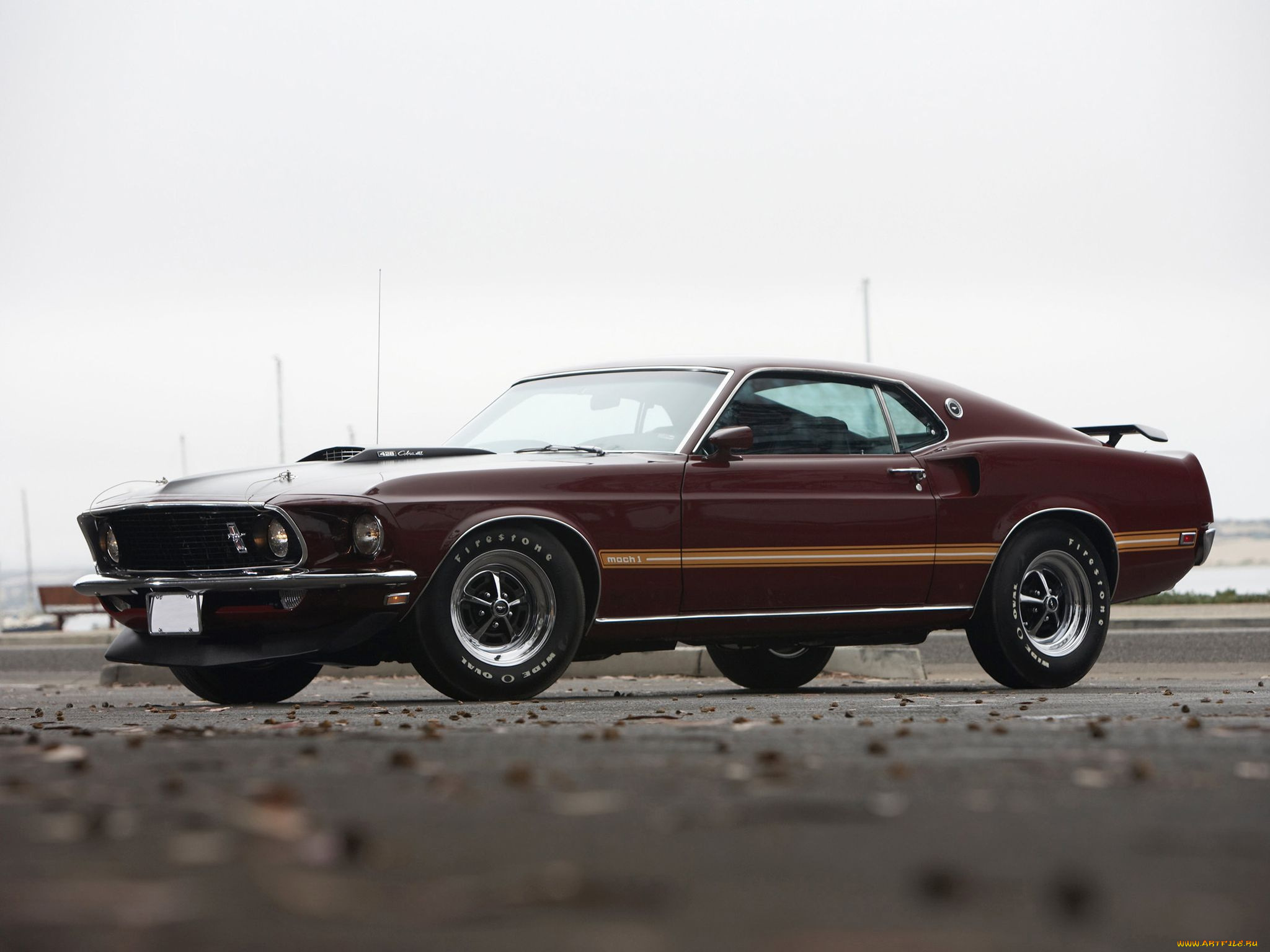 автомобили, mustang