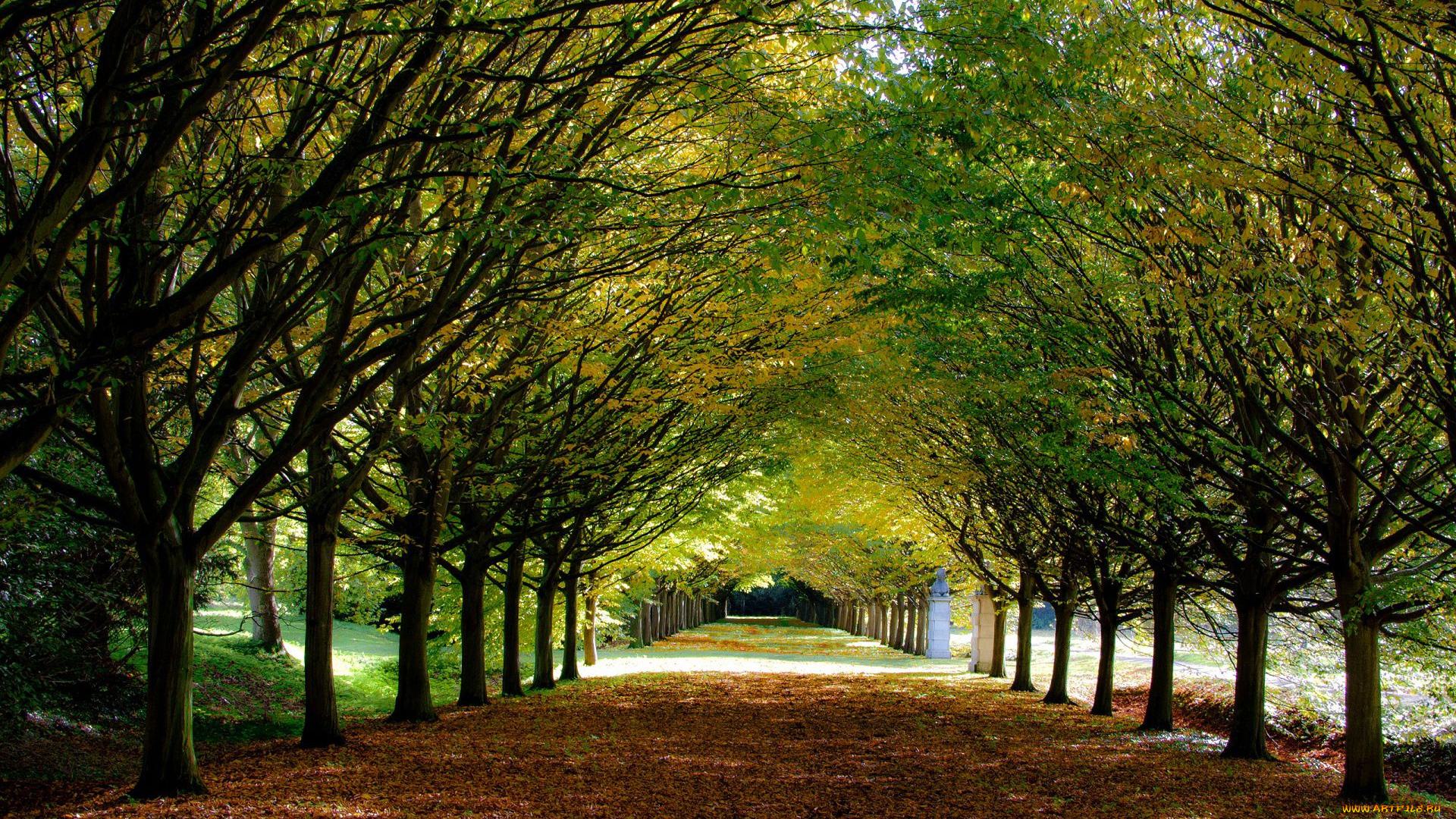 англия, парк, природа, аллея, дорога, деревья