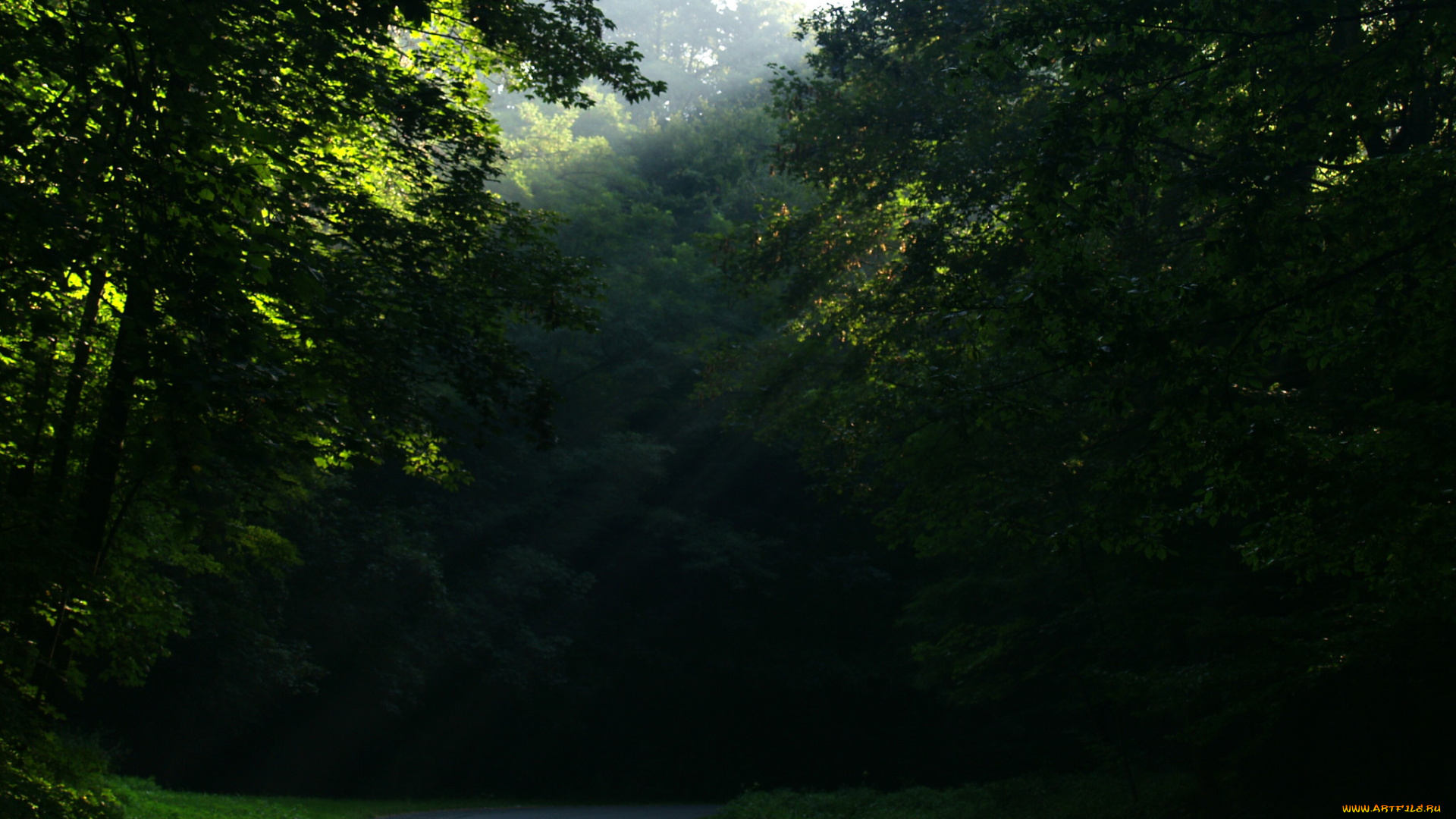 природа, дороги, лес, дорога, деревья