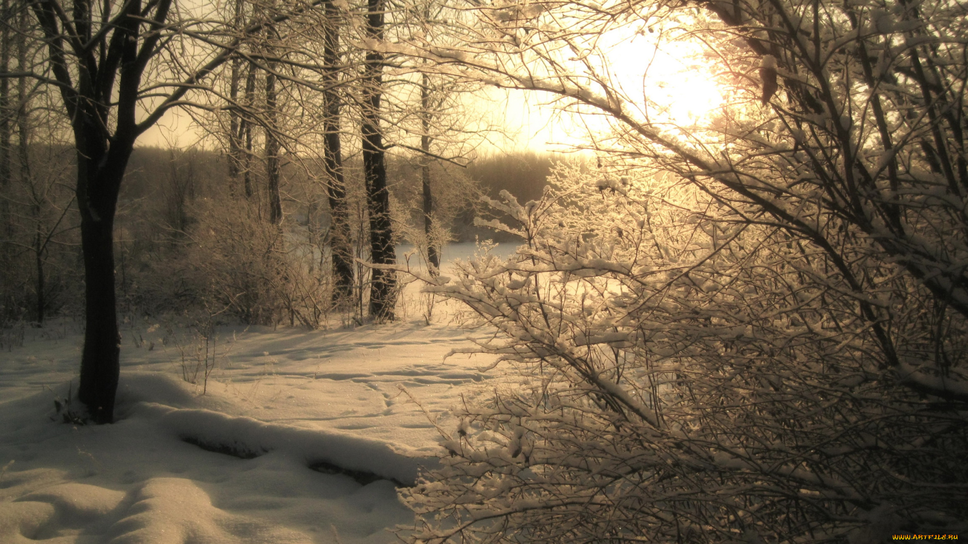 природа, зима, снег, деревья