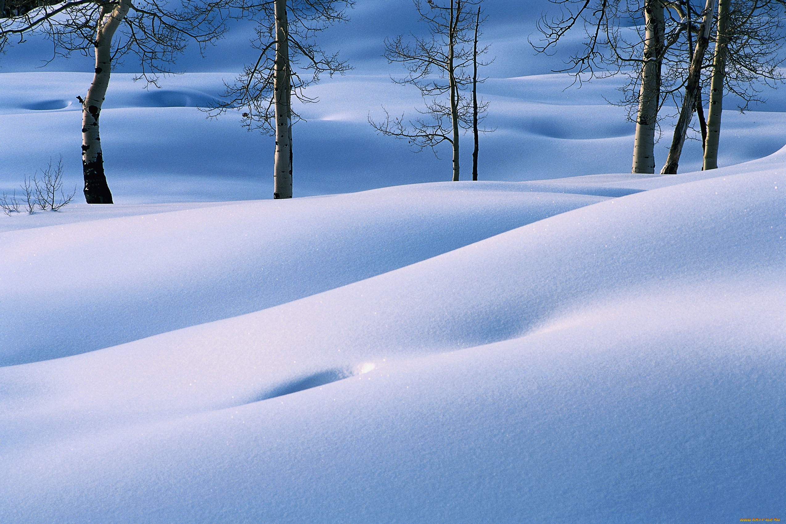 природа, зима, снег, деревья