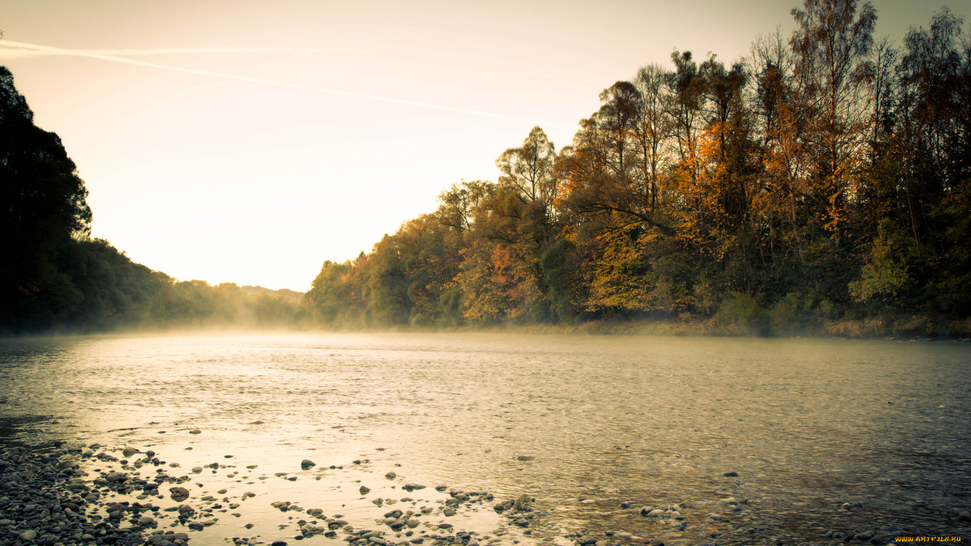 природа, реки, озера, река, туман, утро, осень, лес