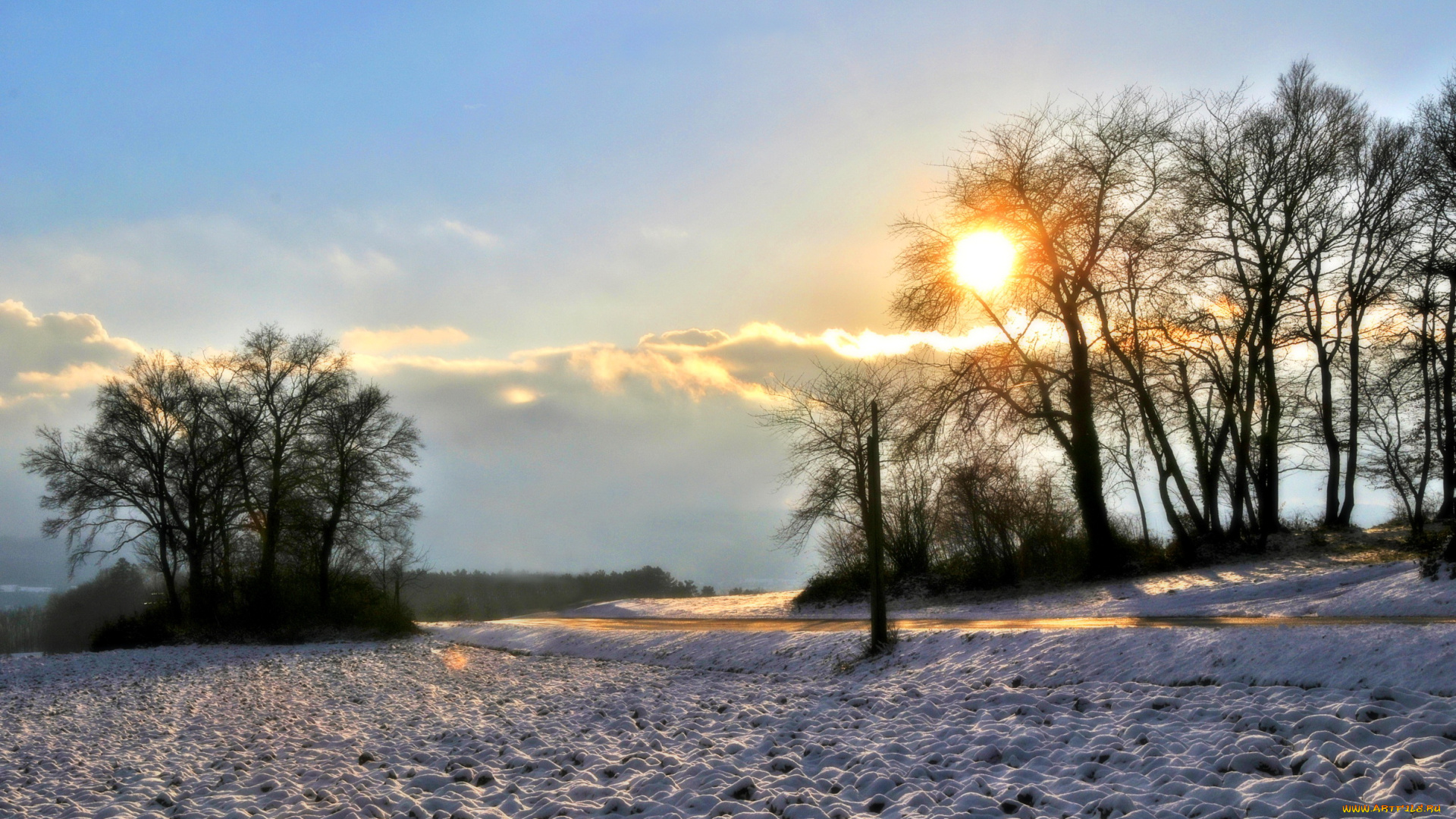 природа, зима, снег, деревья, солнце