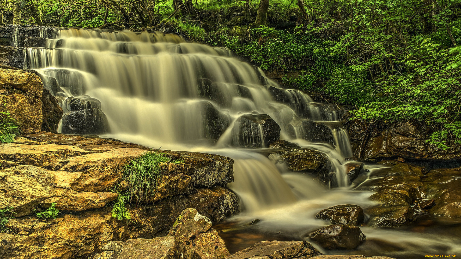 природа, водопады, водопад, лес, река
