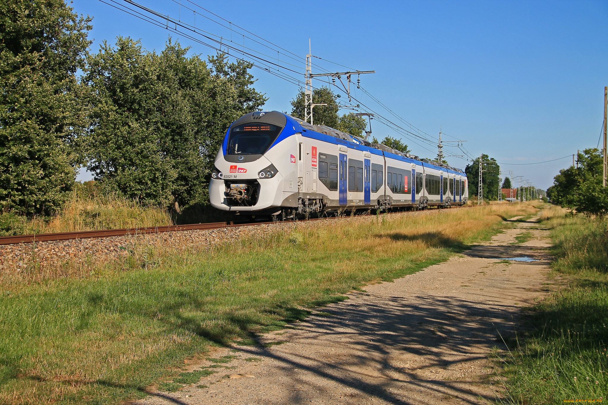 техника, поезда, железная, дорога, локомотив, состав