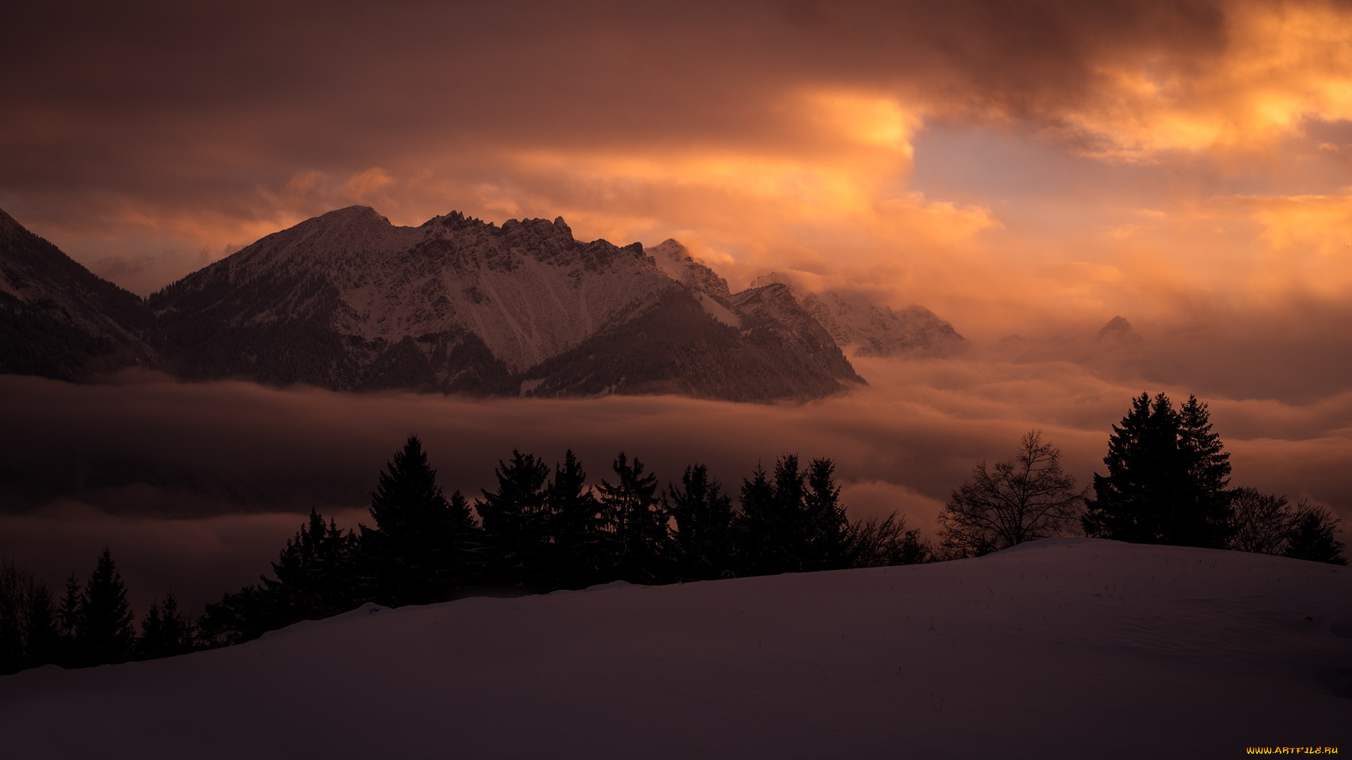 природа, горы, деревья, снег