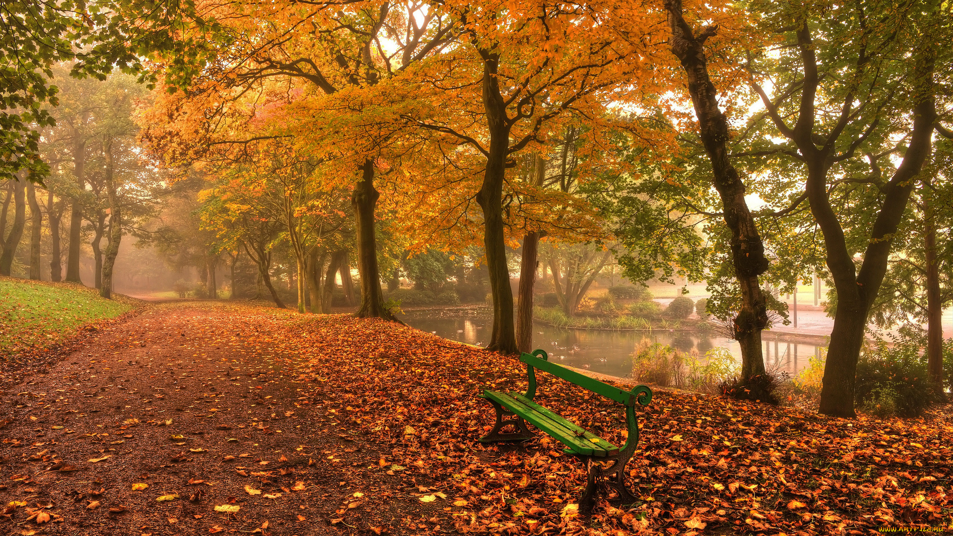 природа, парк, лес, дорога, осень