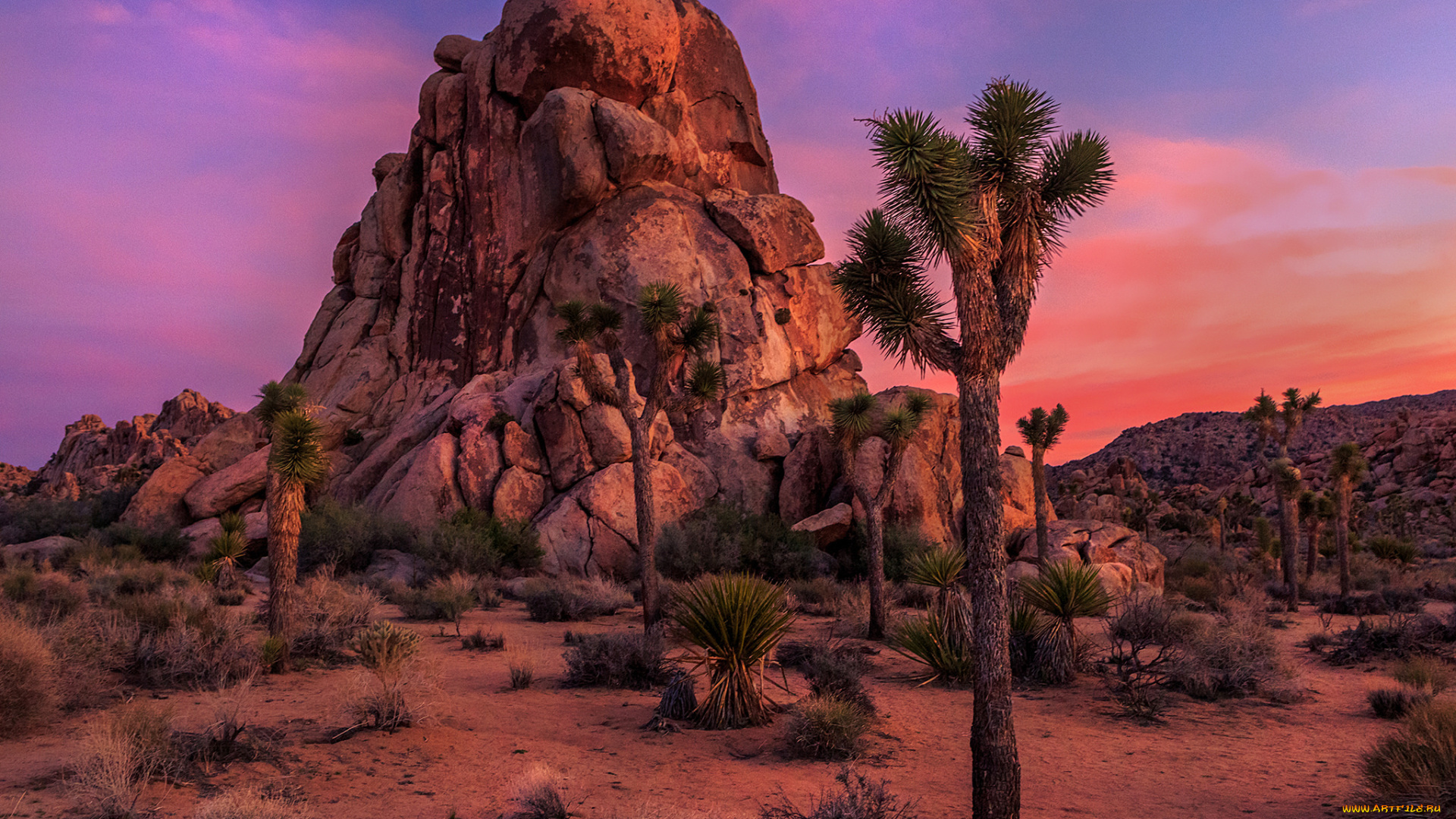 природа, пустыни, простор