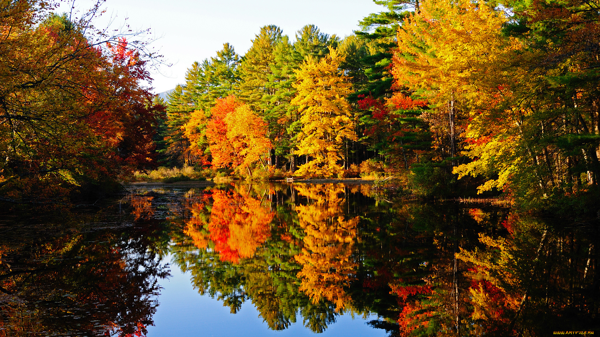 природа, реки, озера, лес, река, осень