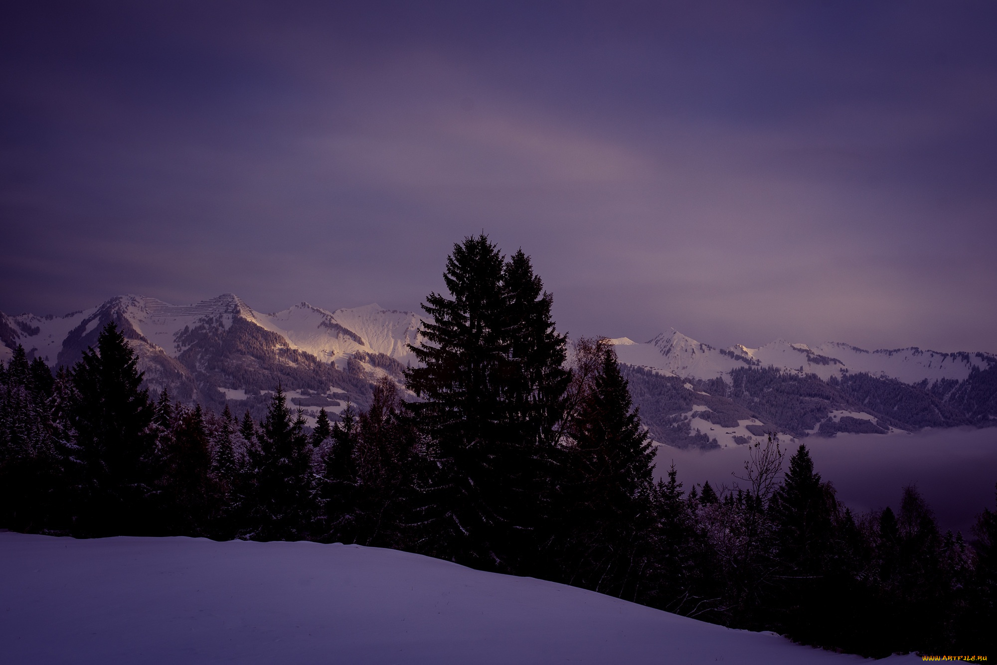 природа, горы, небо, лес, снег