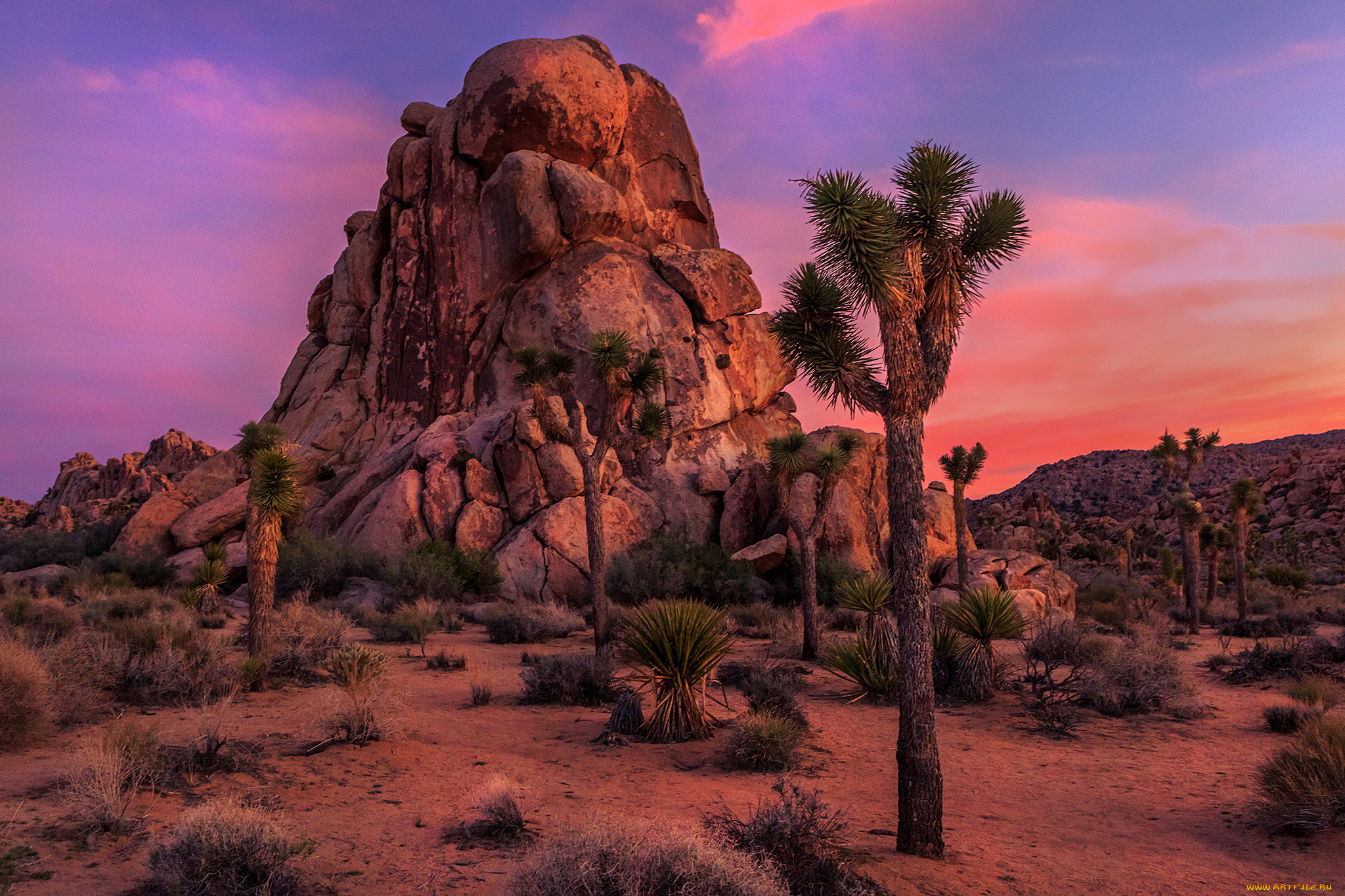 природа, пустыни, простор