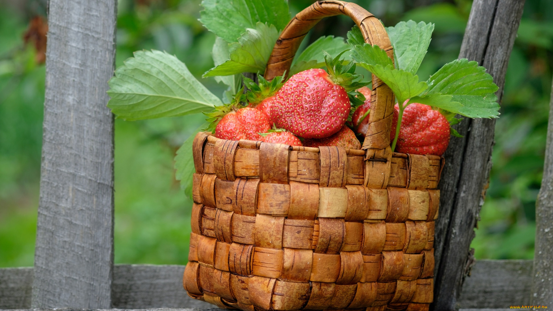 еда, клубника, , земляника, корзинка, ягоды