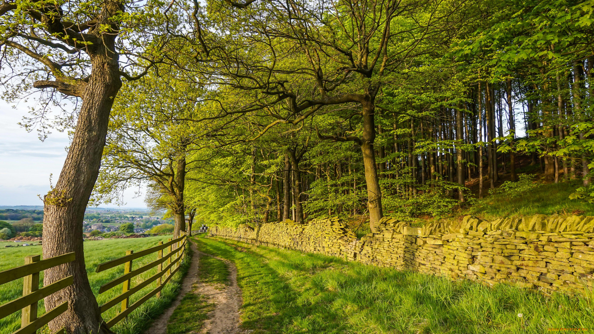 природа, дороги, простор