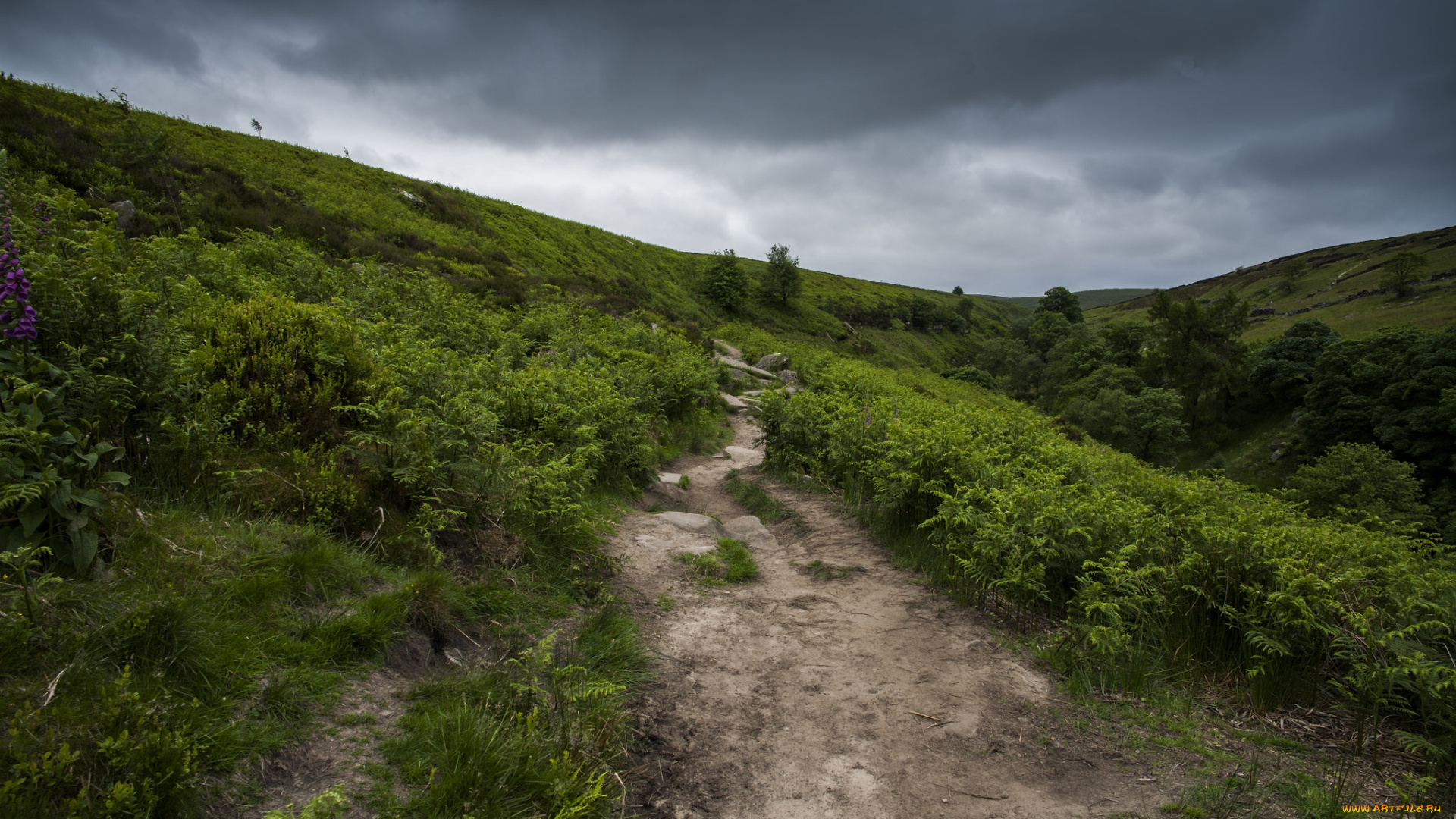 природа, дороги, простор