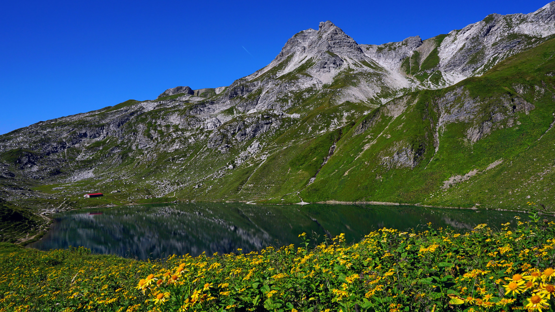 природа, горы, простор